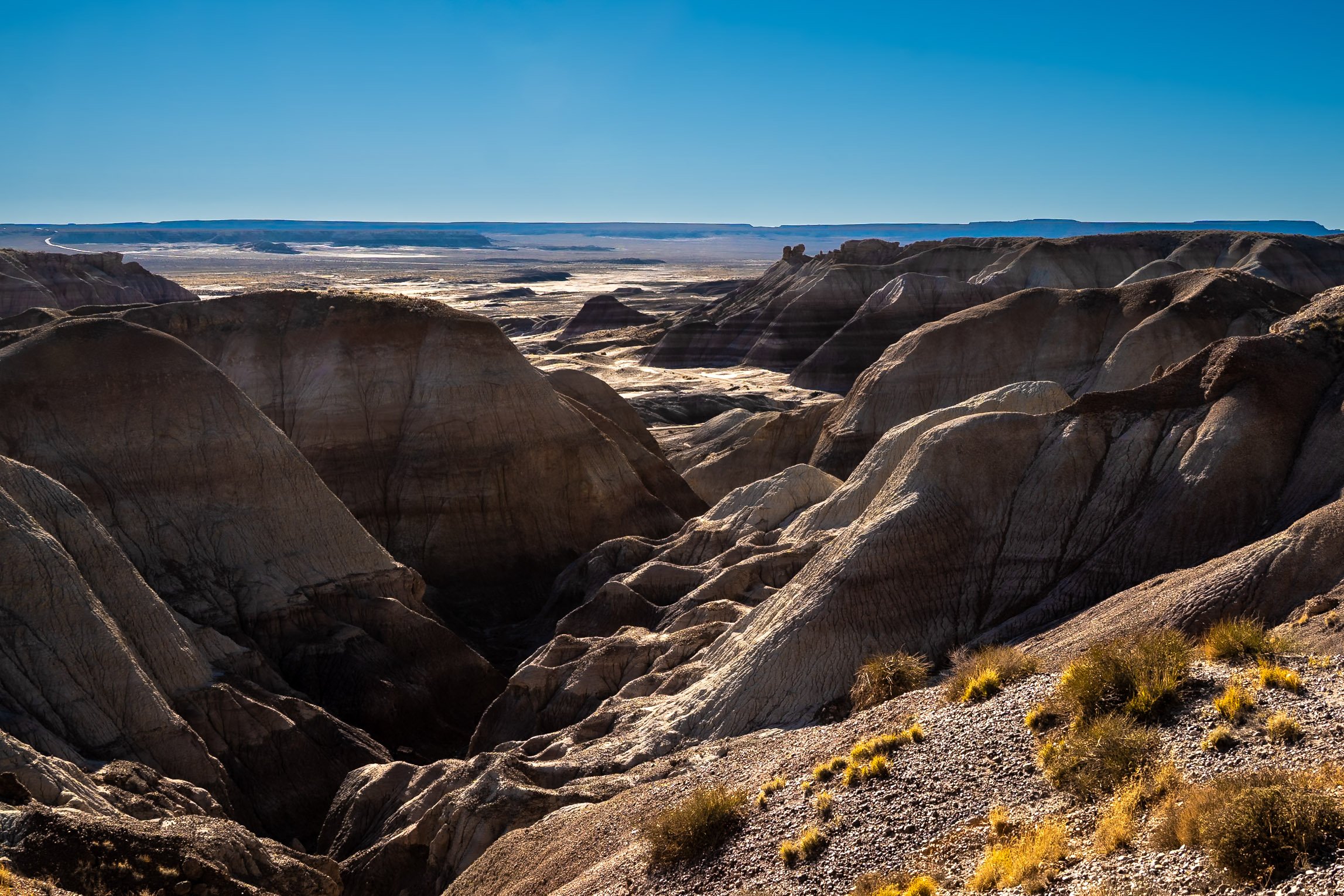 Petrified Forest National Park
Arizona, USA