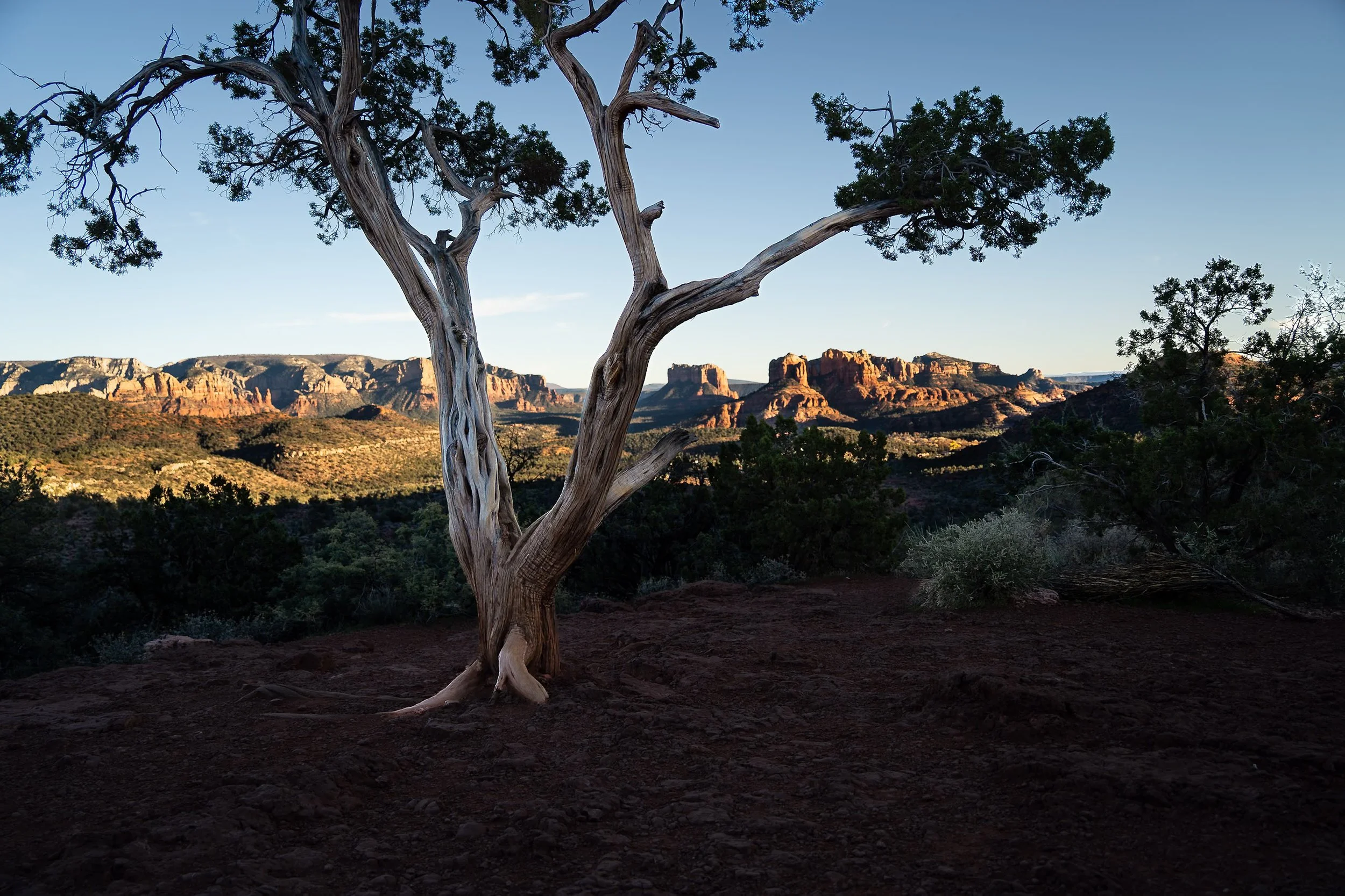 "Sunset Sentinel"

Sedona, Arizona, USA