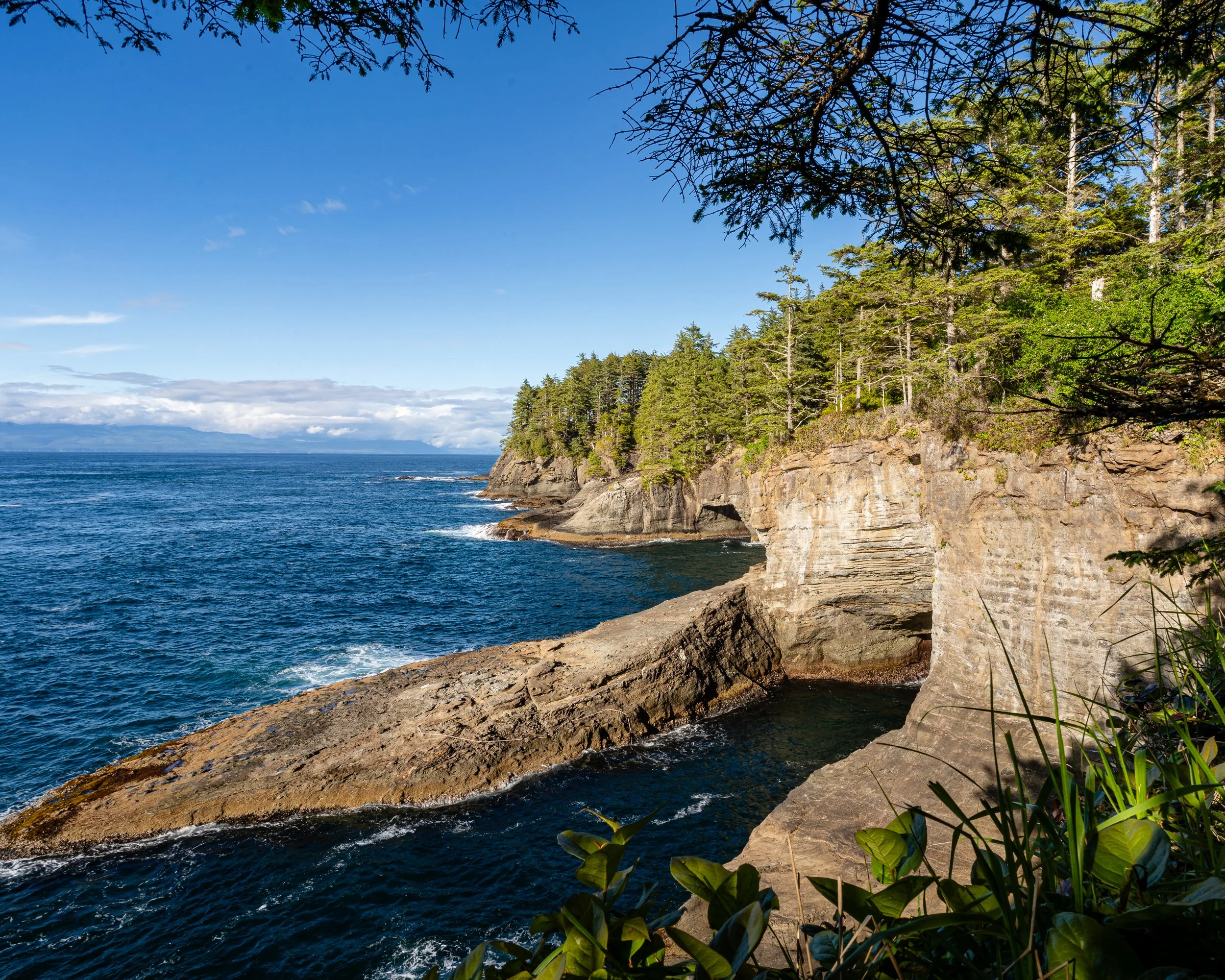Washington Portfolio-19.jpg