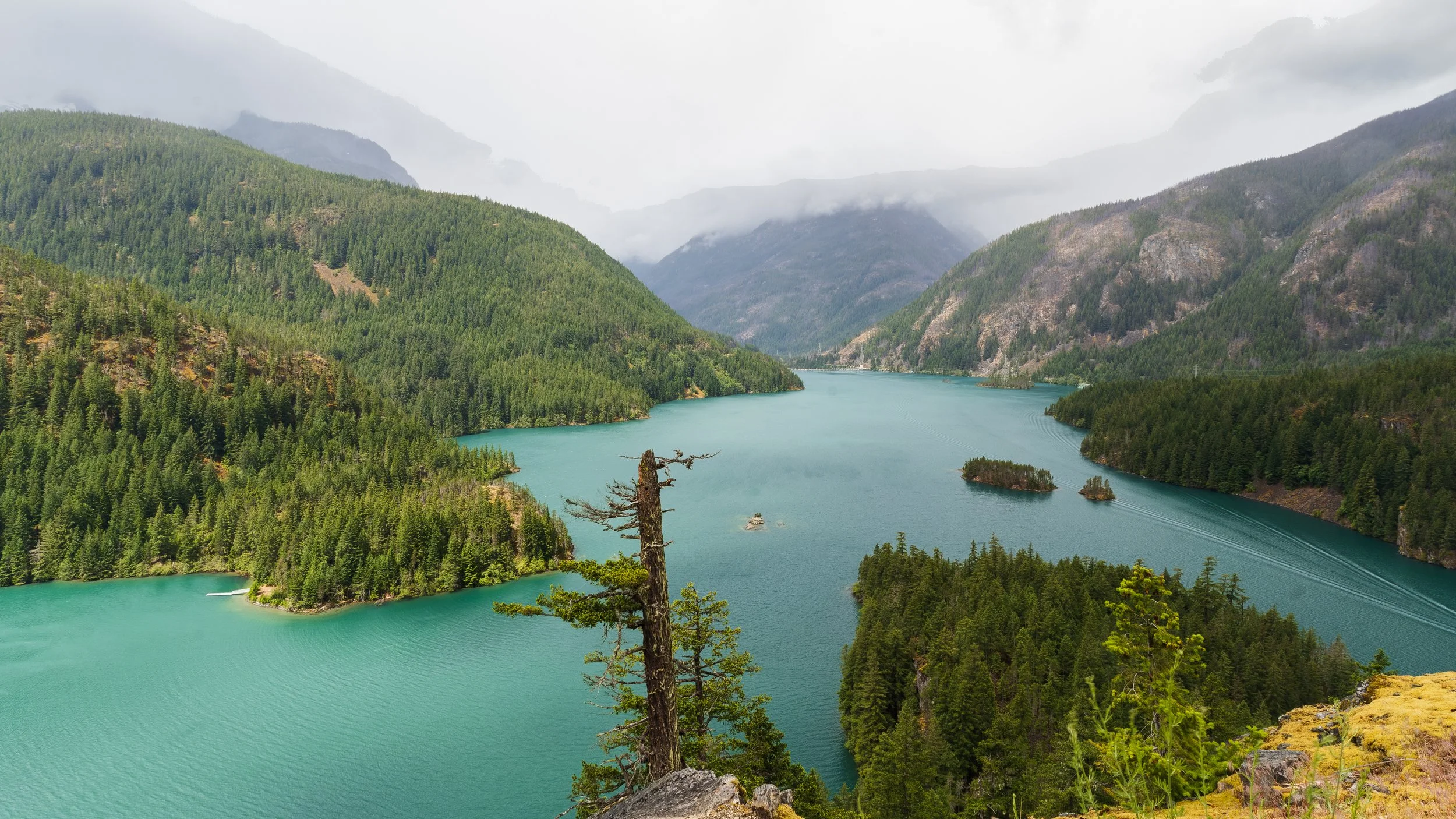 Washington Portfolio -48.jpg