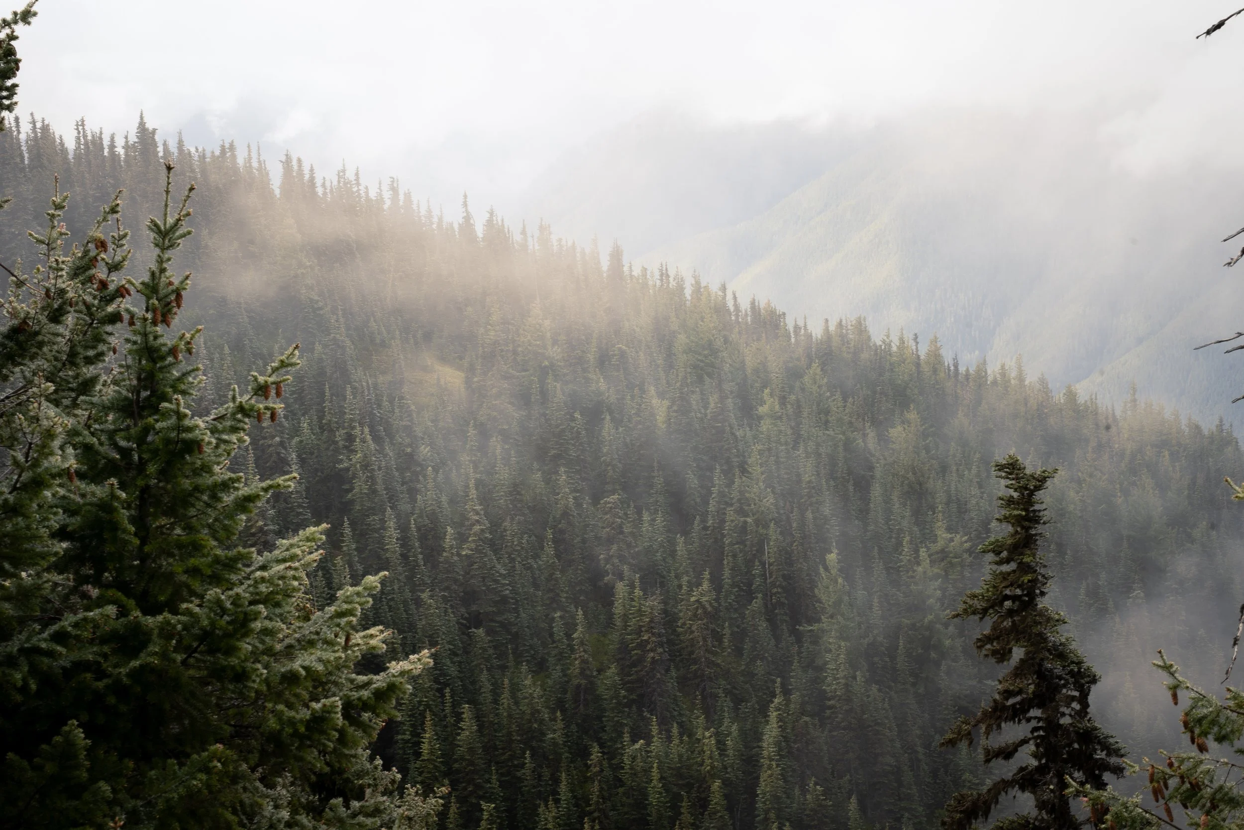 Washington Portfolio-9.jpg