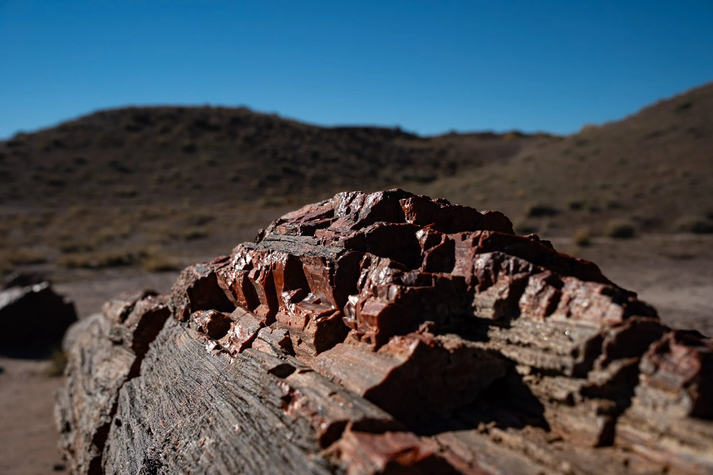 Petrified Forest National Park
Arizona, USA