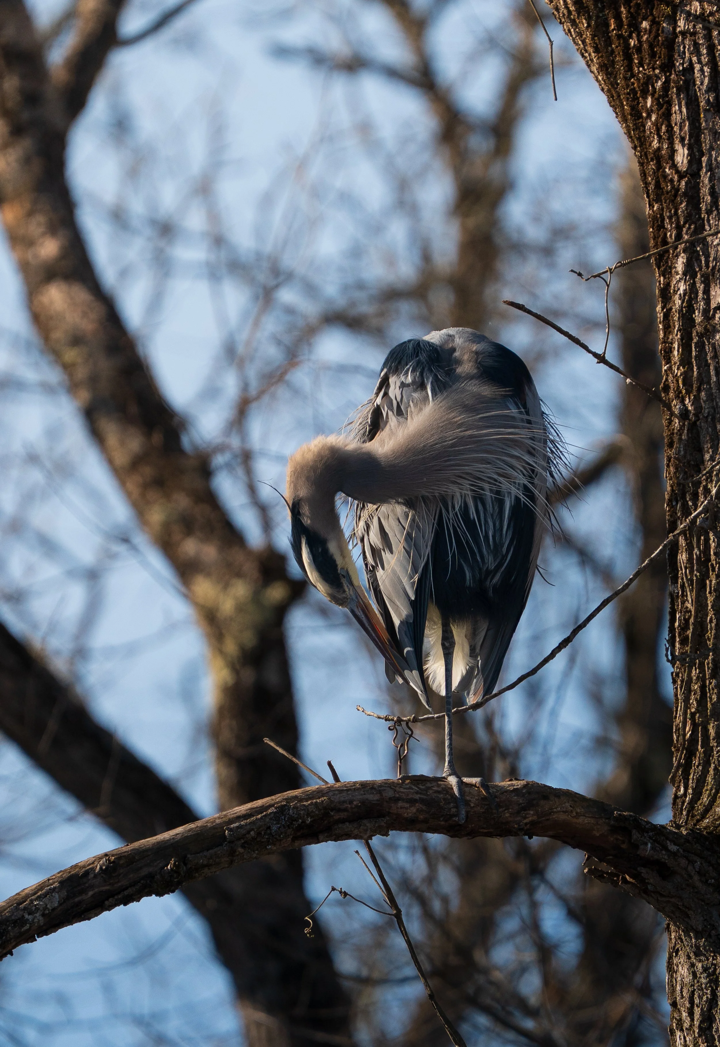 Beaver Marsh 02.14.2026-30.jpg