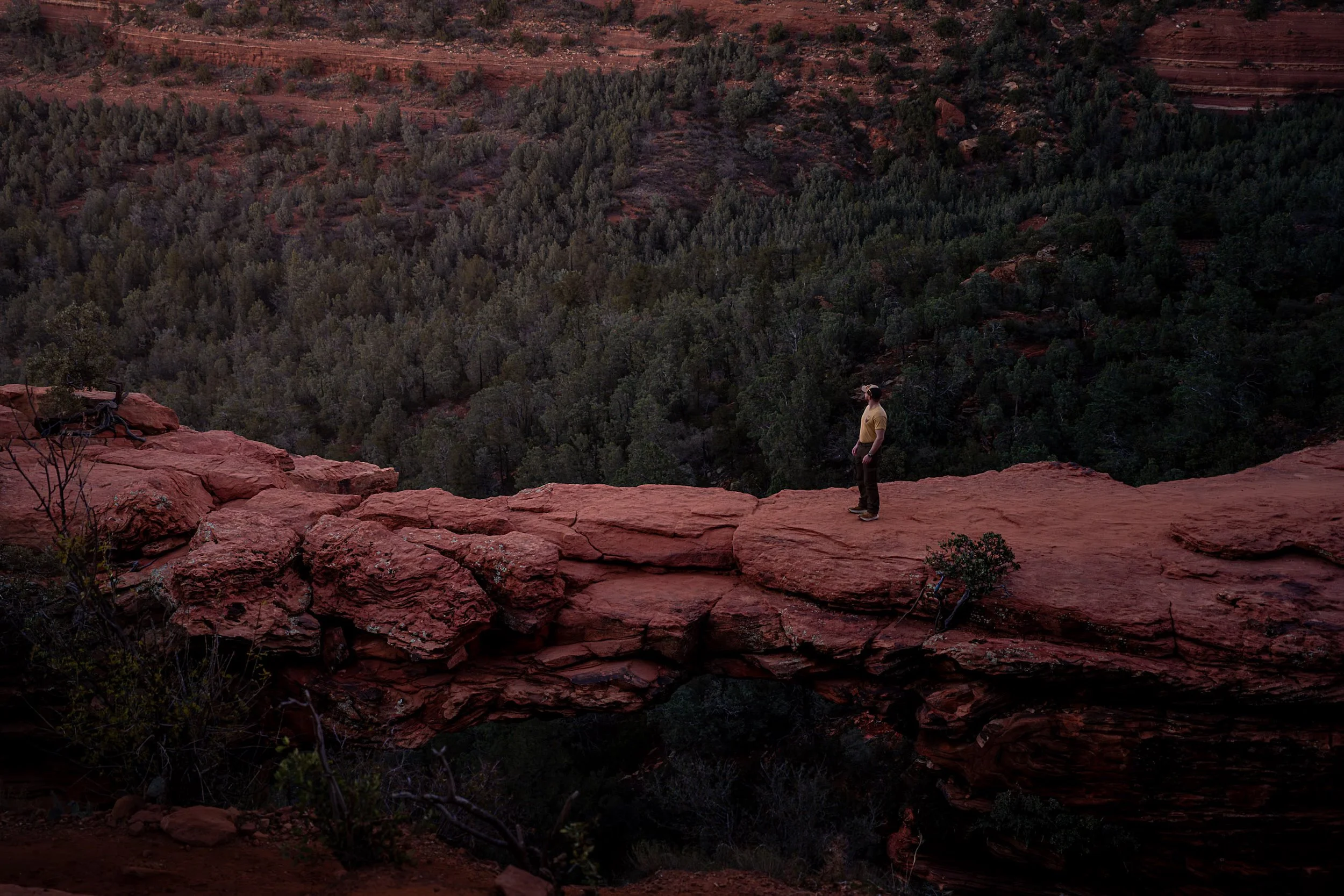 Devil's Bridge

Boynton Canyon, Arizona, USA
