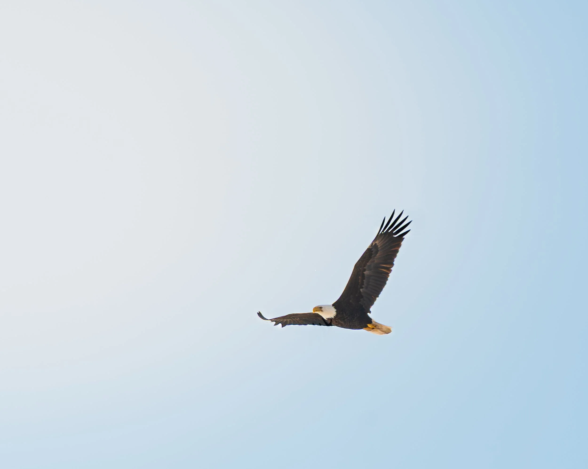 Beaver Marsh 02.14.2026-13.jpg