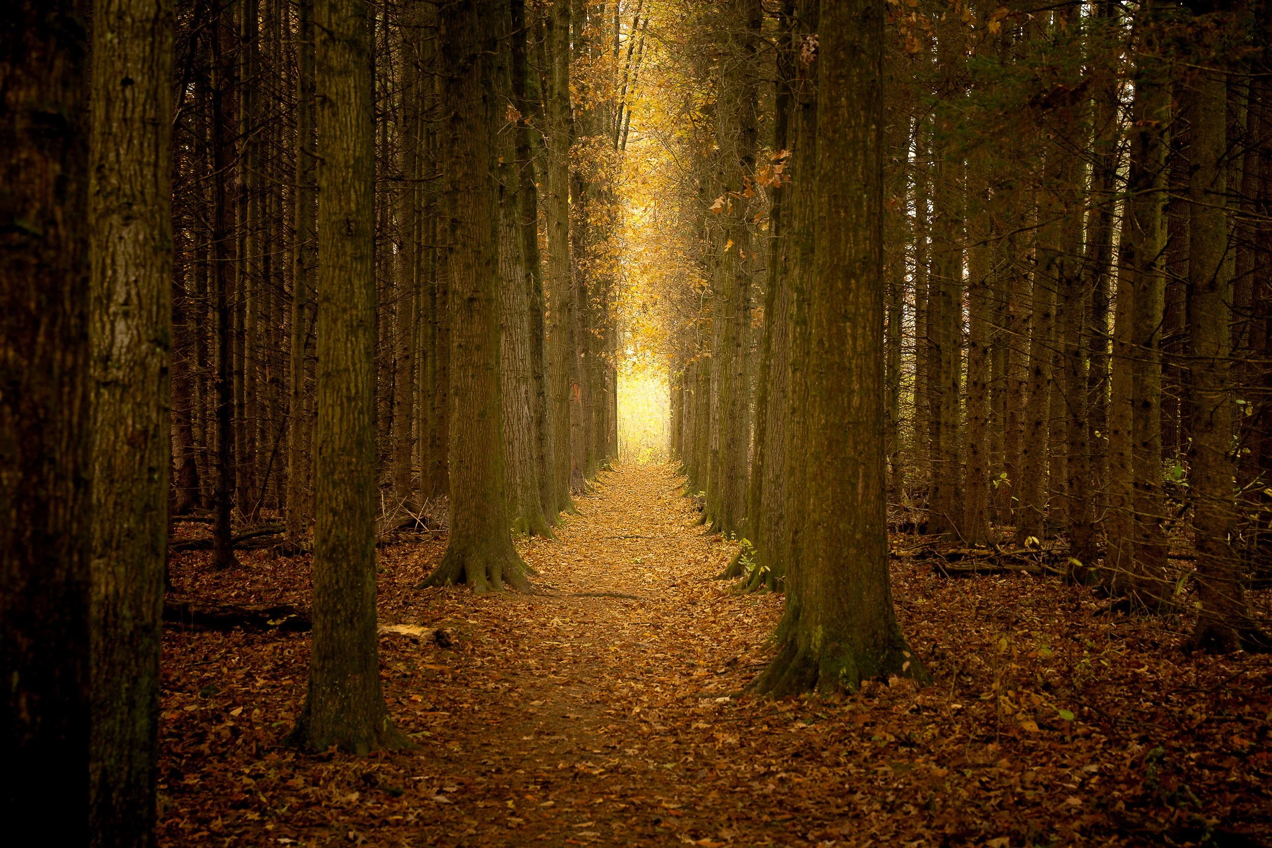 Cuyahoga Valley National Park
Ohio, USA