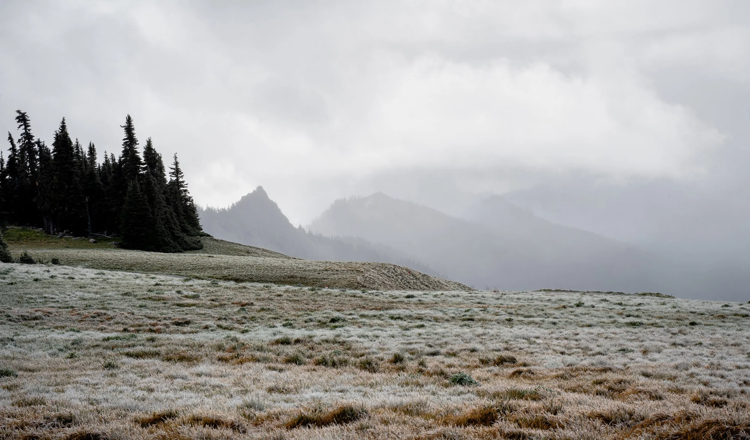 Washington Portfolio-6.jpg
