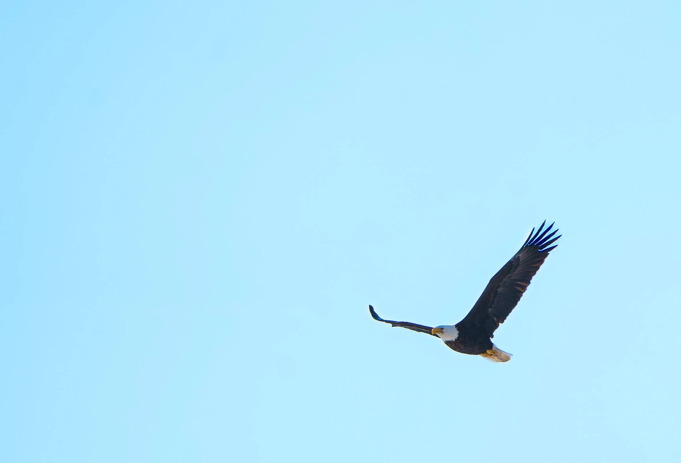 Beaver Marsh 02.14.2026-12.jpg