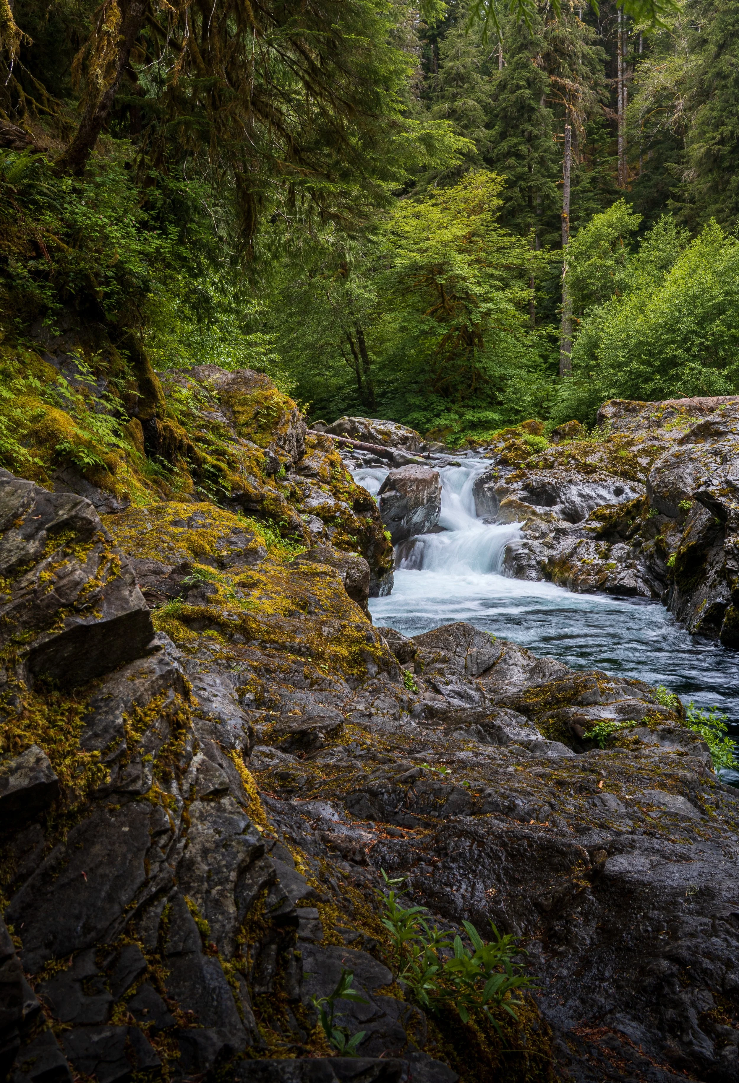 Washington Portfolio-1.jpg