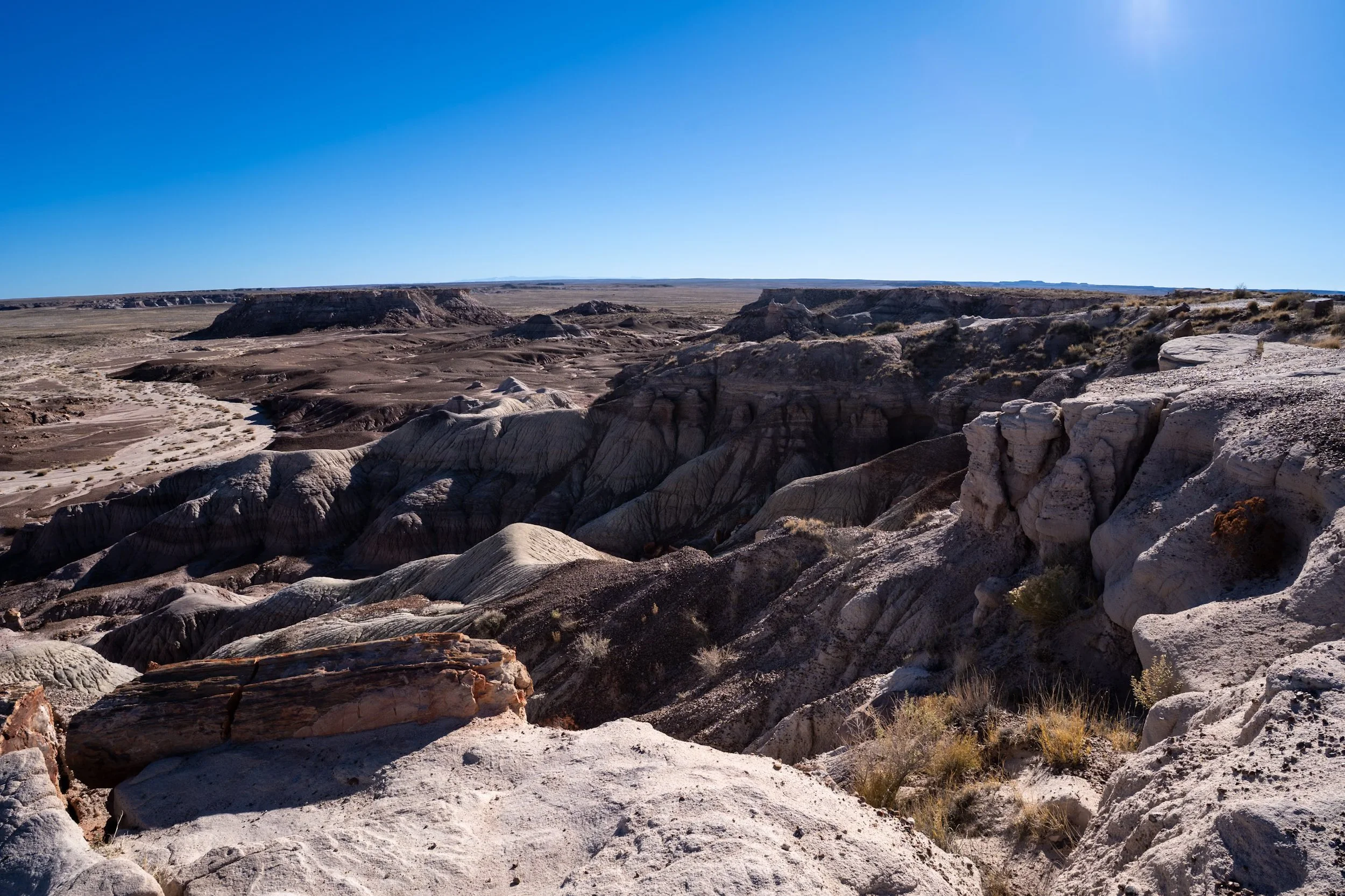 Petrified Forest National Park
Arizona, USA