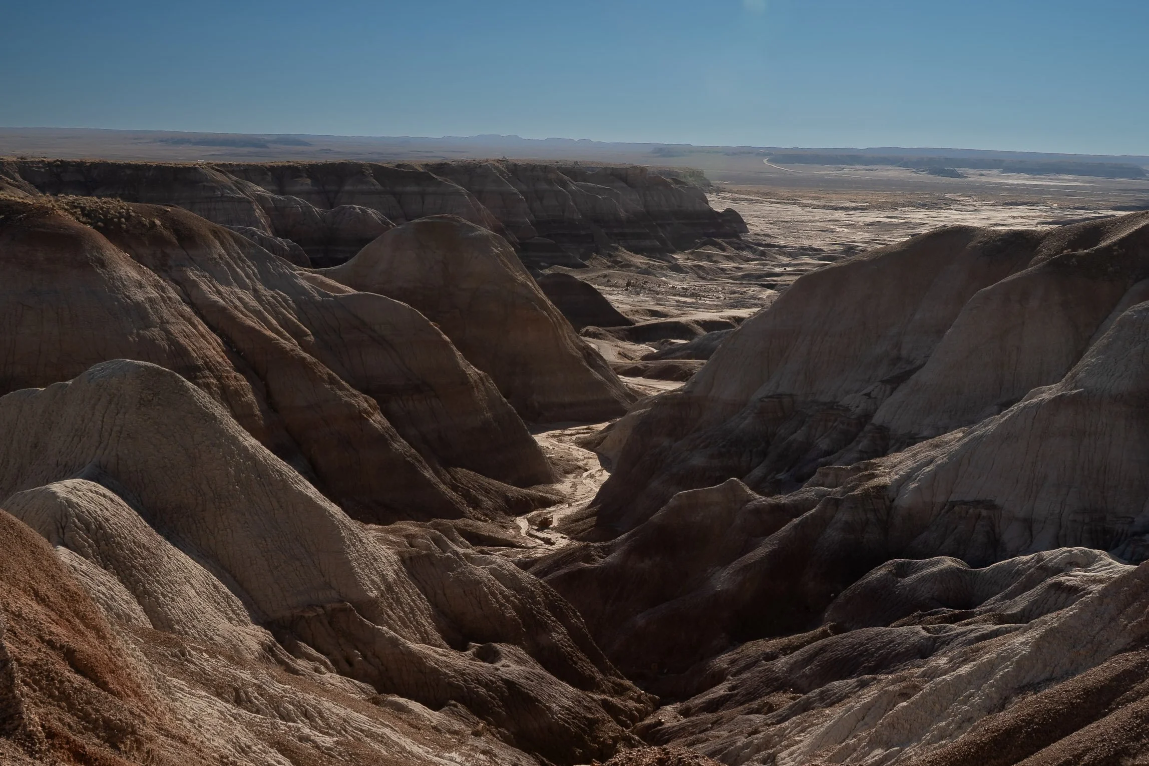 Petrified Forest National Park
Arizona, USA