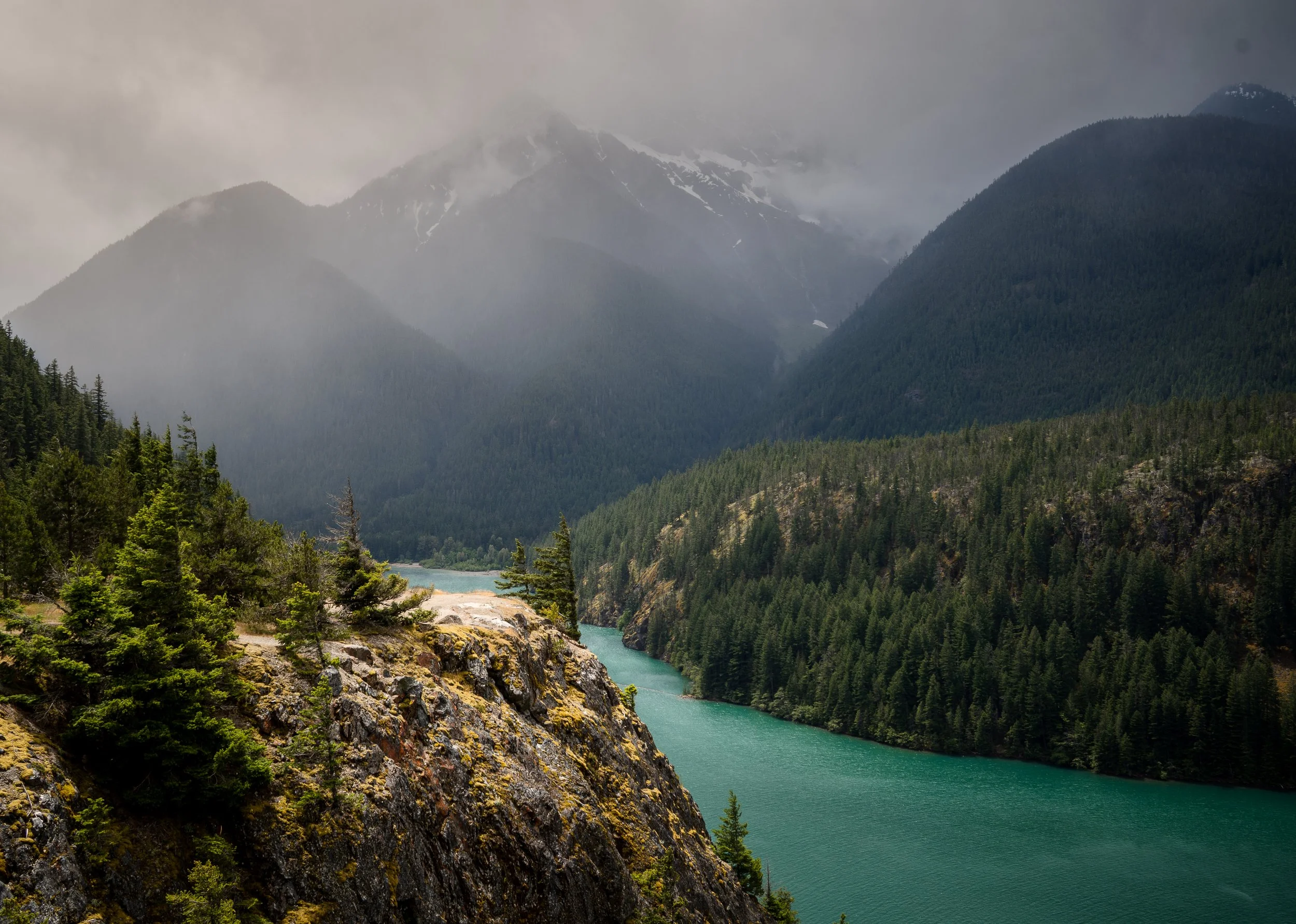 Washington Portfolio-31.jpg