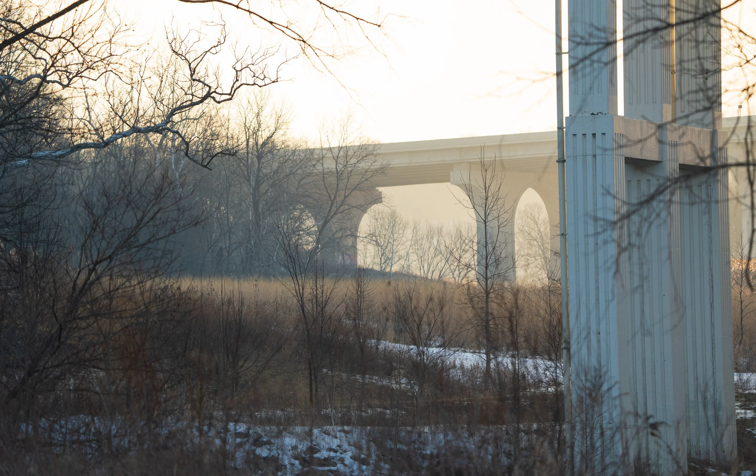 Beaver Marsh 02.14.2026-1.jpg