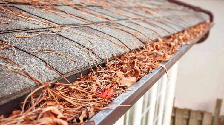 Gutter cleaning