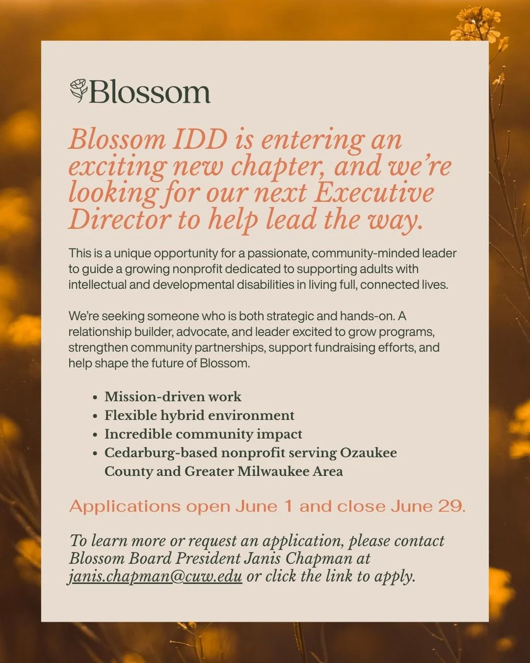 🌸 Blossom IDD is entering an exciting new chapter, and we're looking for our next Executive Director! This is a unique opportunity for a passionate, community-minded leader to guide a growing nonprofit dedicated to supporting adults with intellectua