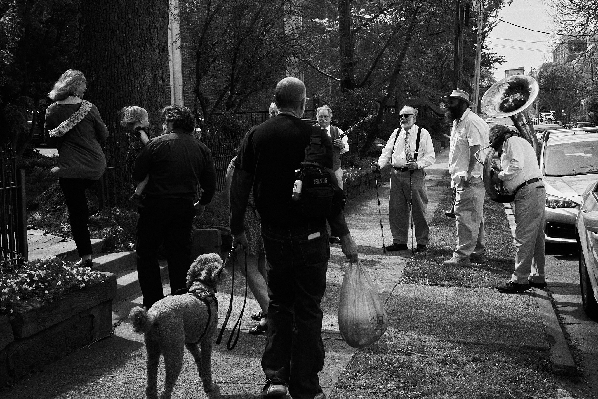 A group of people gathered on a sidewalk, with some singing or playing instruments, others talking, accompanied by a dog, in an outdoor urban setting with trees and parked cars.