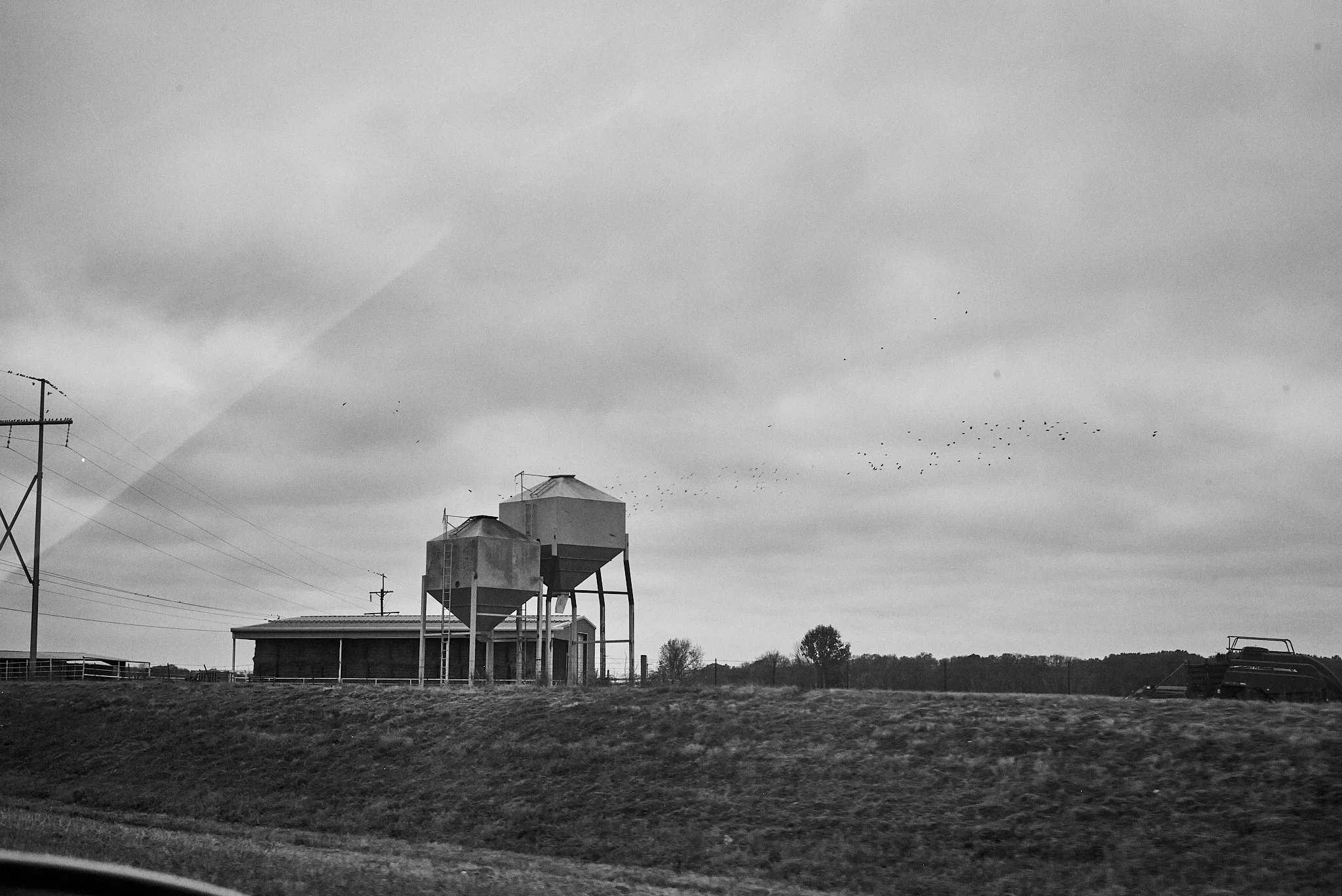 Black and white photo of two grain silos on a farm, with a building and utility poles in the background, and a flock of birds flying in a cloudy sky.