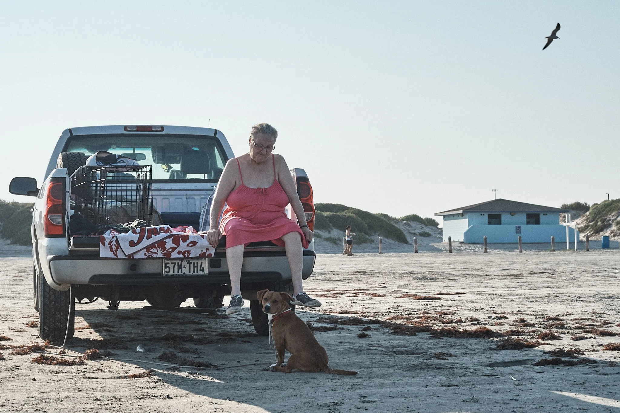 An elderly woman in a pink dress sitting on the back of a pickup truck with her dog, at the beach. A man is walking in the background, and a seagull flies overhead.