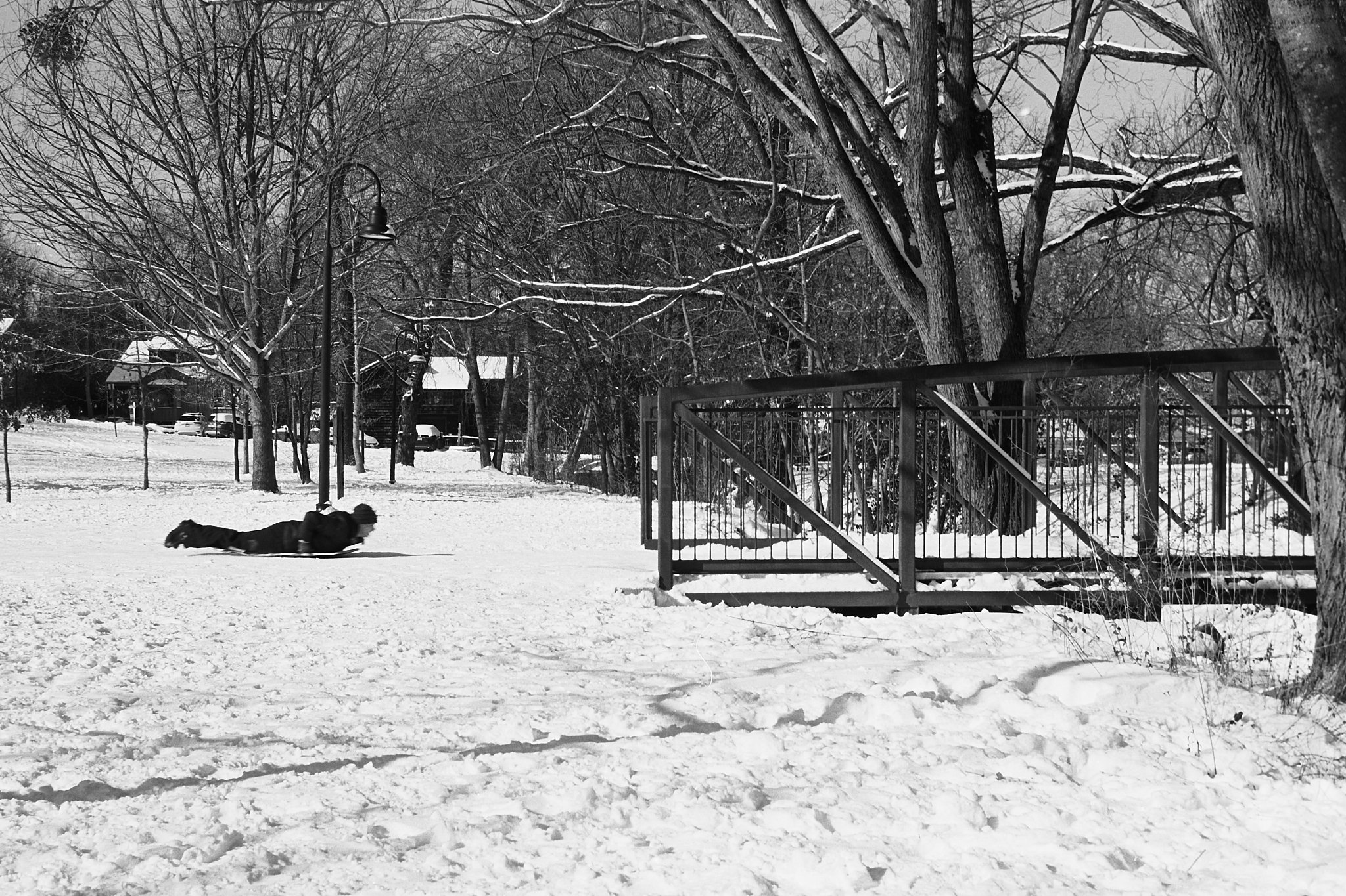 Capture One Catalog0472.jpg