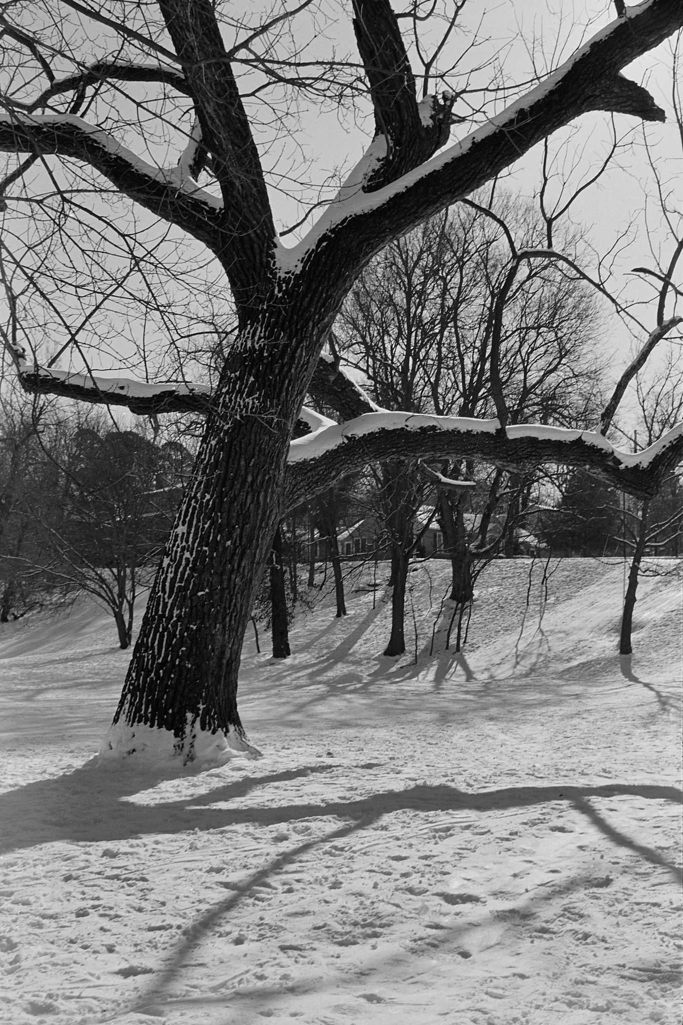 Capture One Catalog0474.jpg