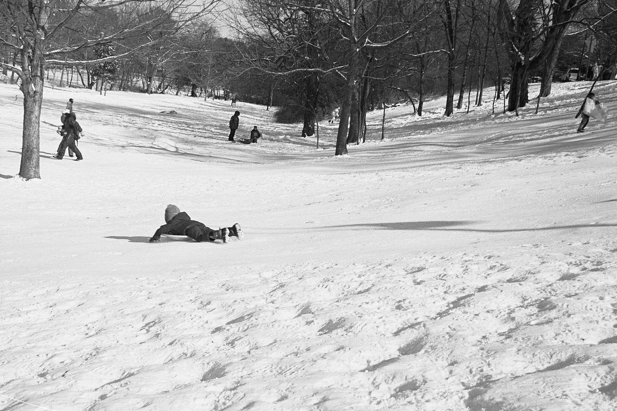 Capture One Catalog0537.jpg