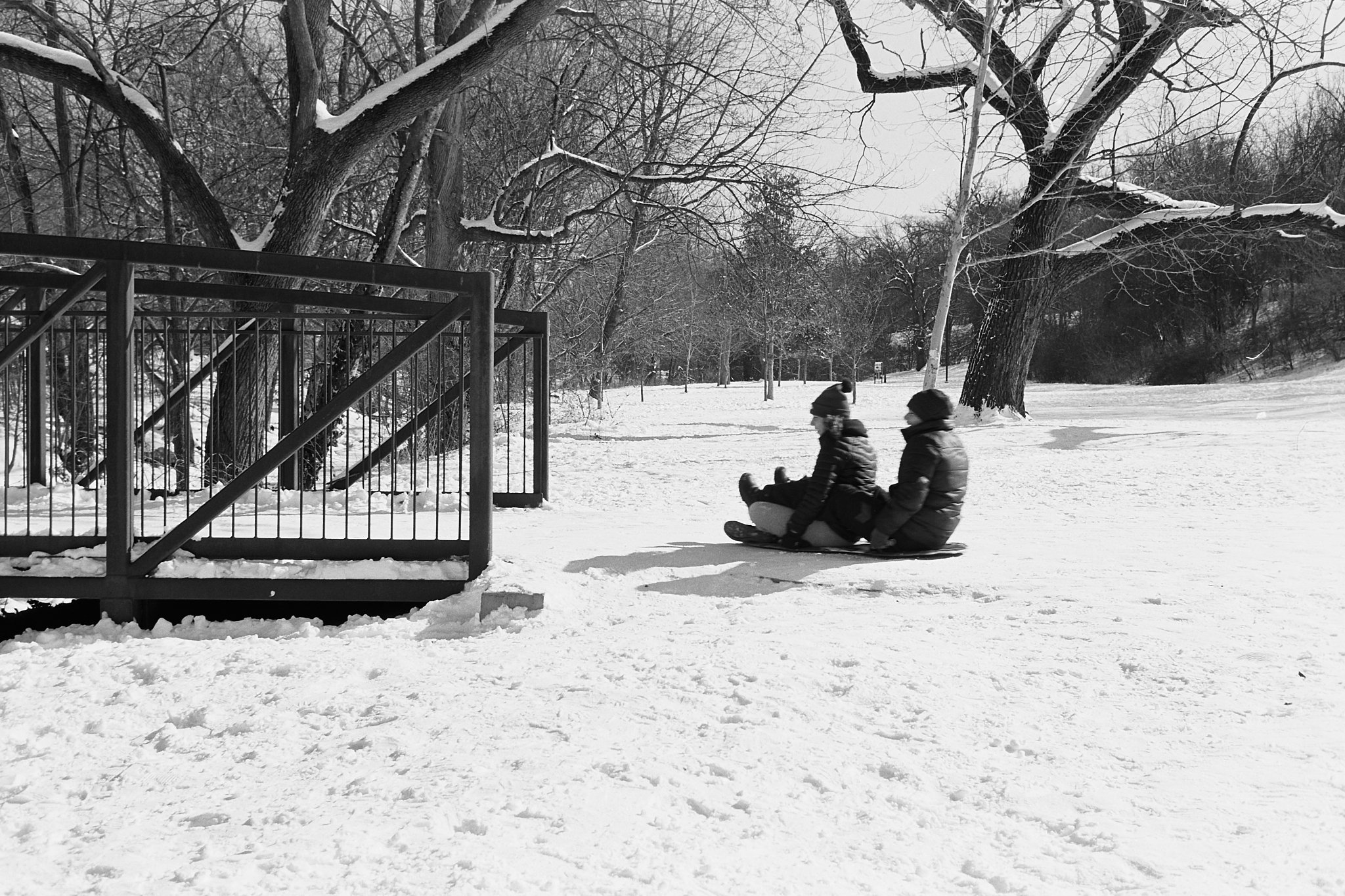 Capture One Catalog0478.jpg