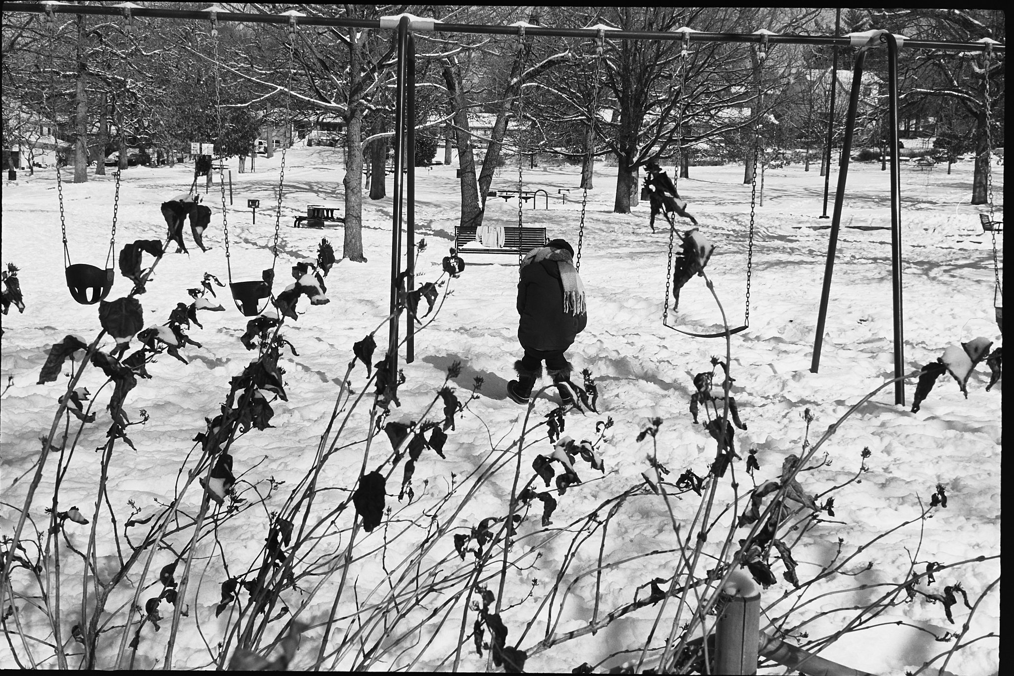 Capture One Catalog0469.jpg