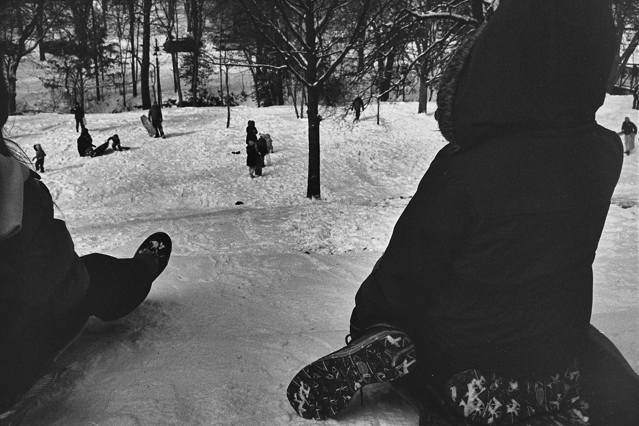 Capture One Catalog0430.jpg