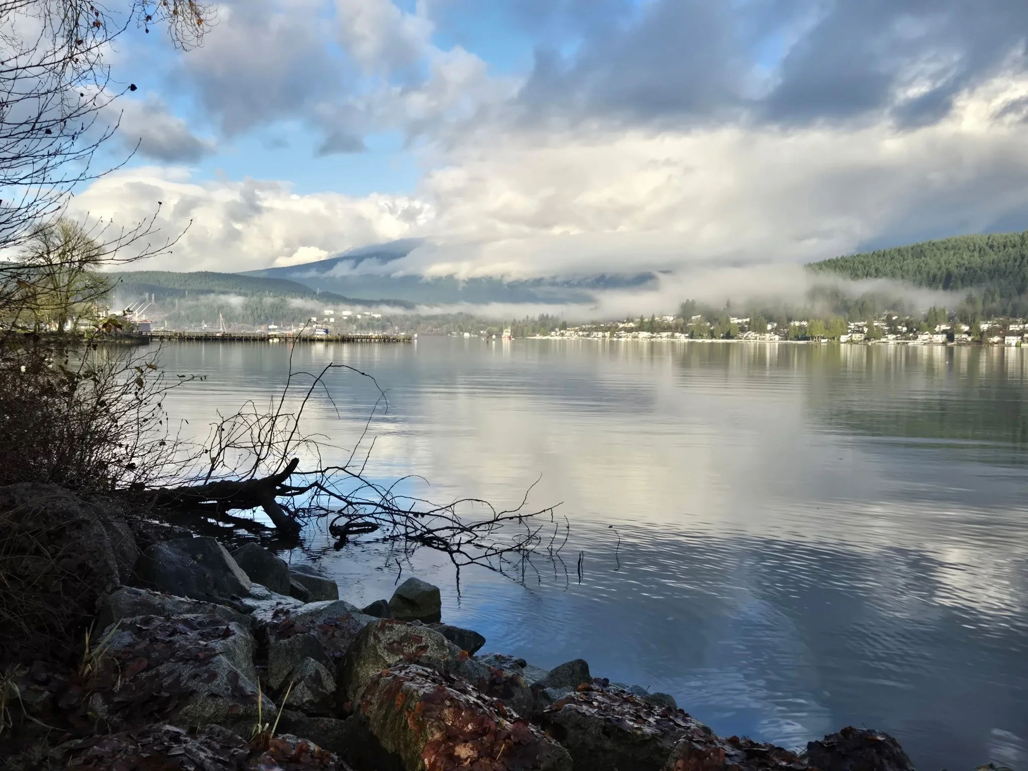 A peaceful lake scene with calm water, mist over distant hills, a cloudy sky, and a rocky shoreline with bare trees in the foreground.