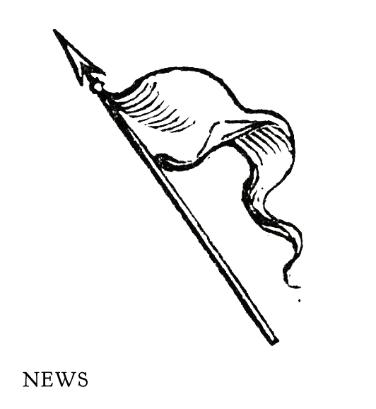 Latest news from Michelle McAlister