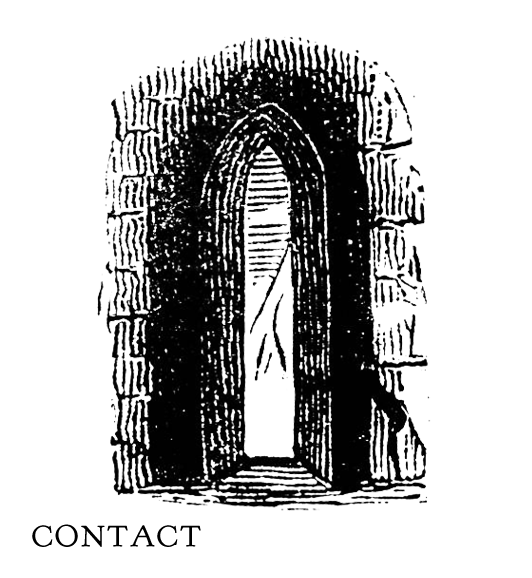 Contact Michelle McAlister