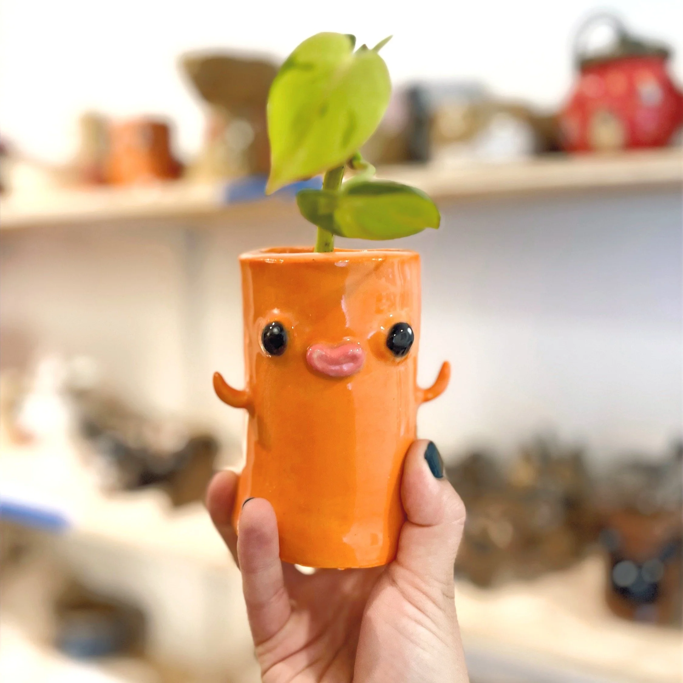 PIP Plant Buddies pot