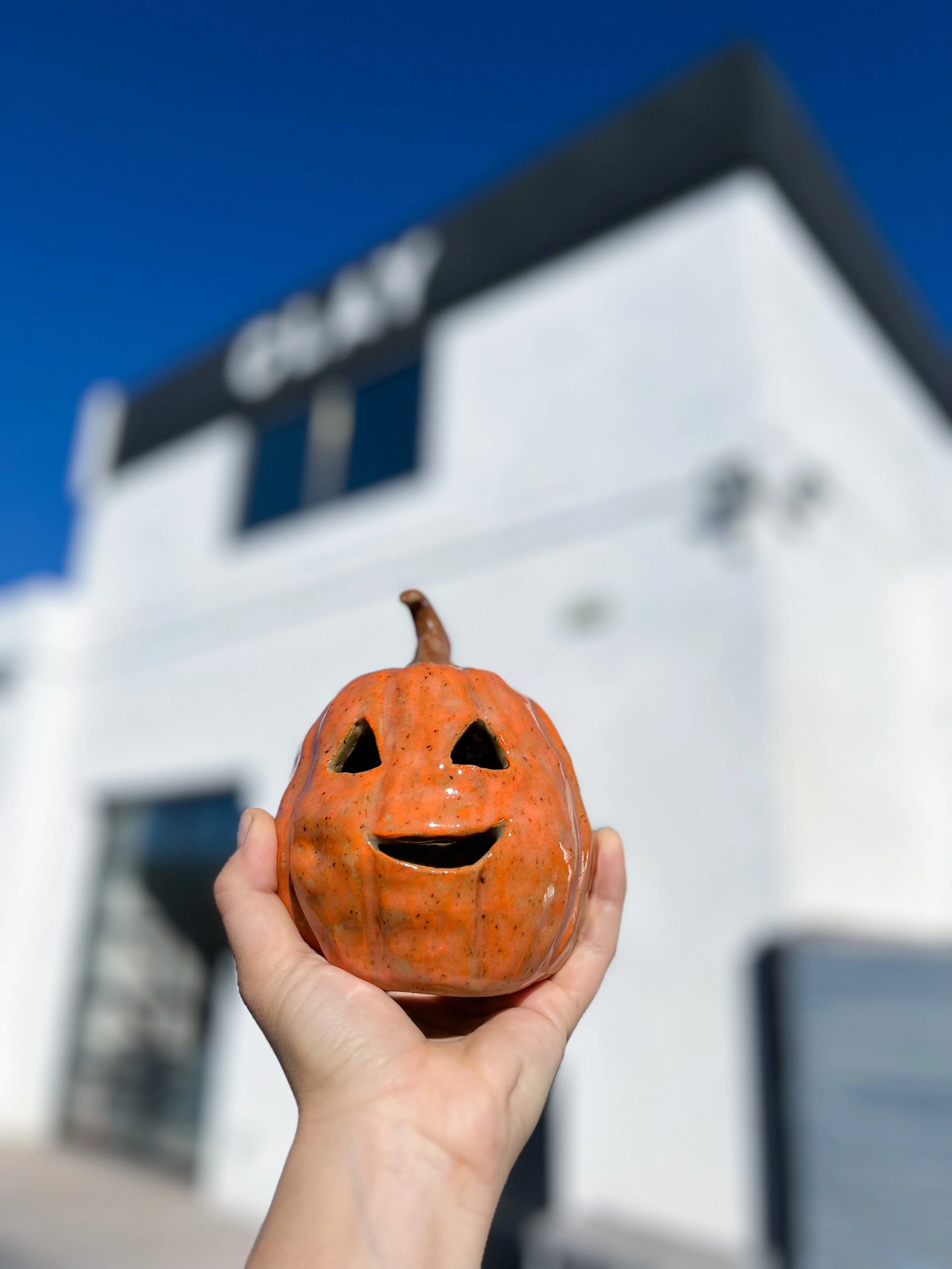 Handbuilt pumpkin