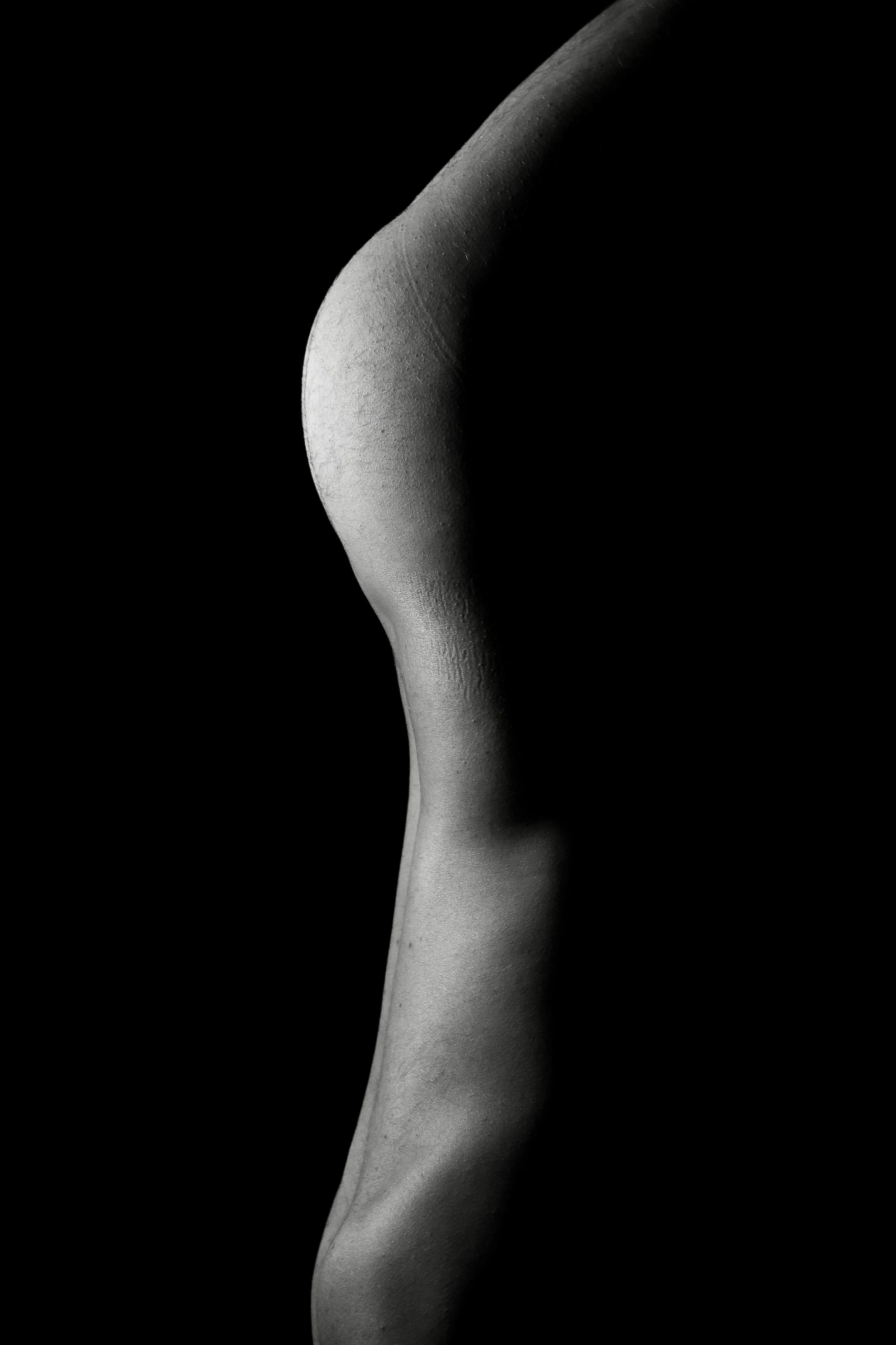 Black and white photograph of a human torso in profile, cropped closely to emphasize curve, light, and shadow.