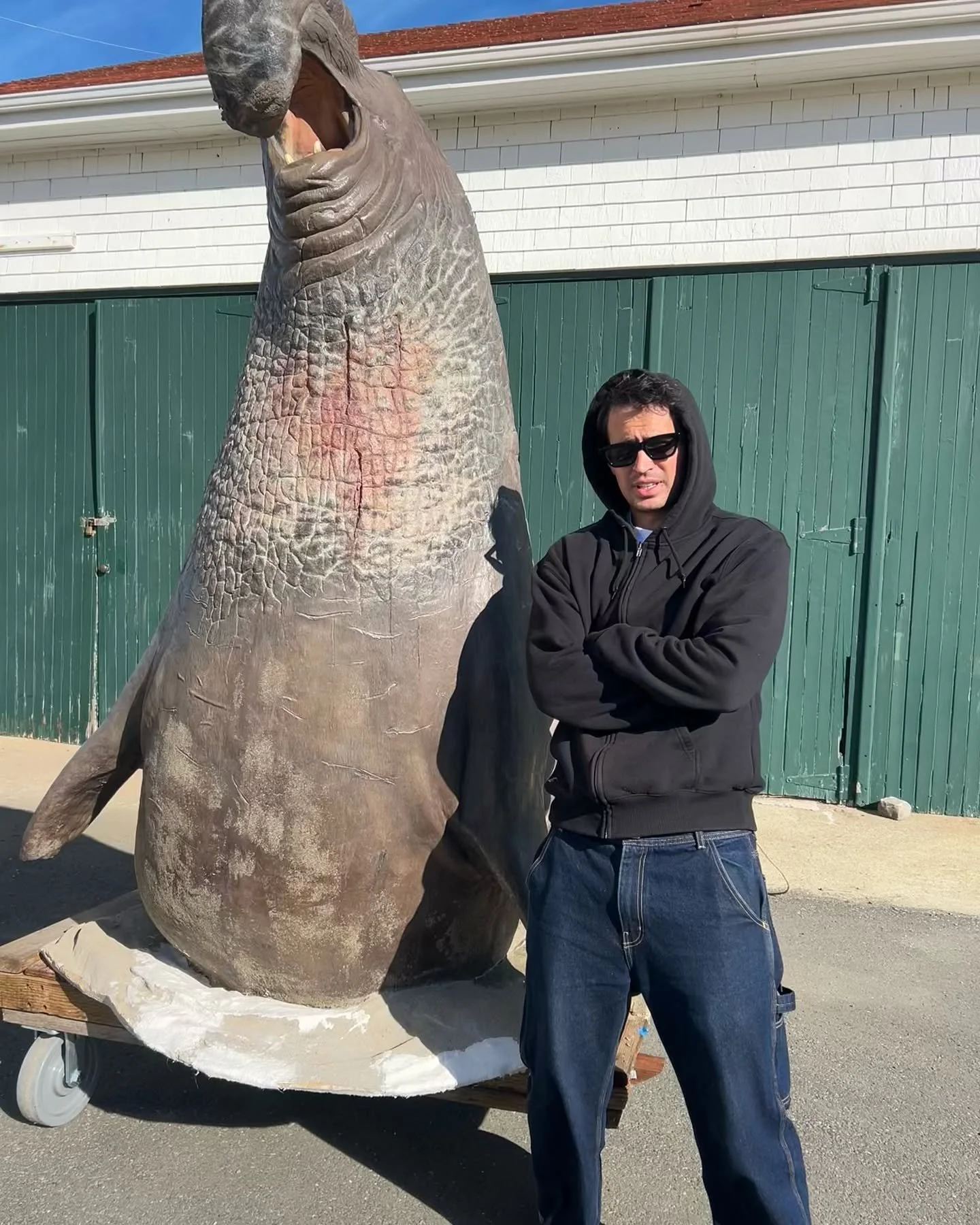 attractive nuisances #avoidingthesooweewoowee