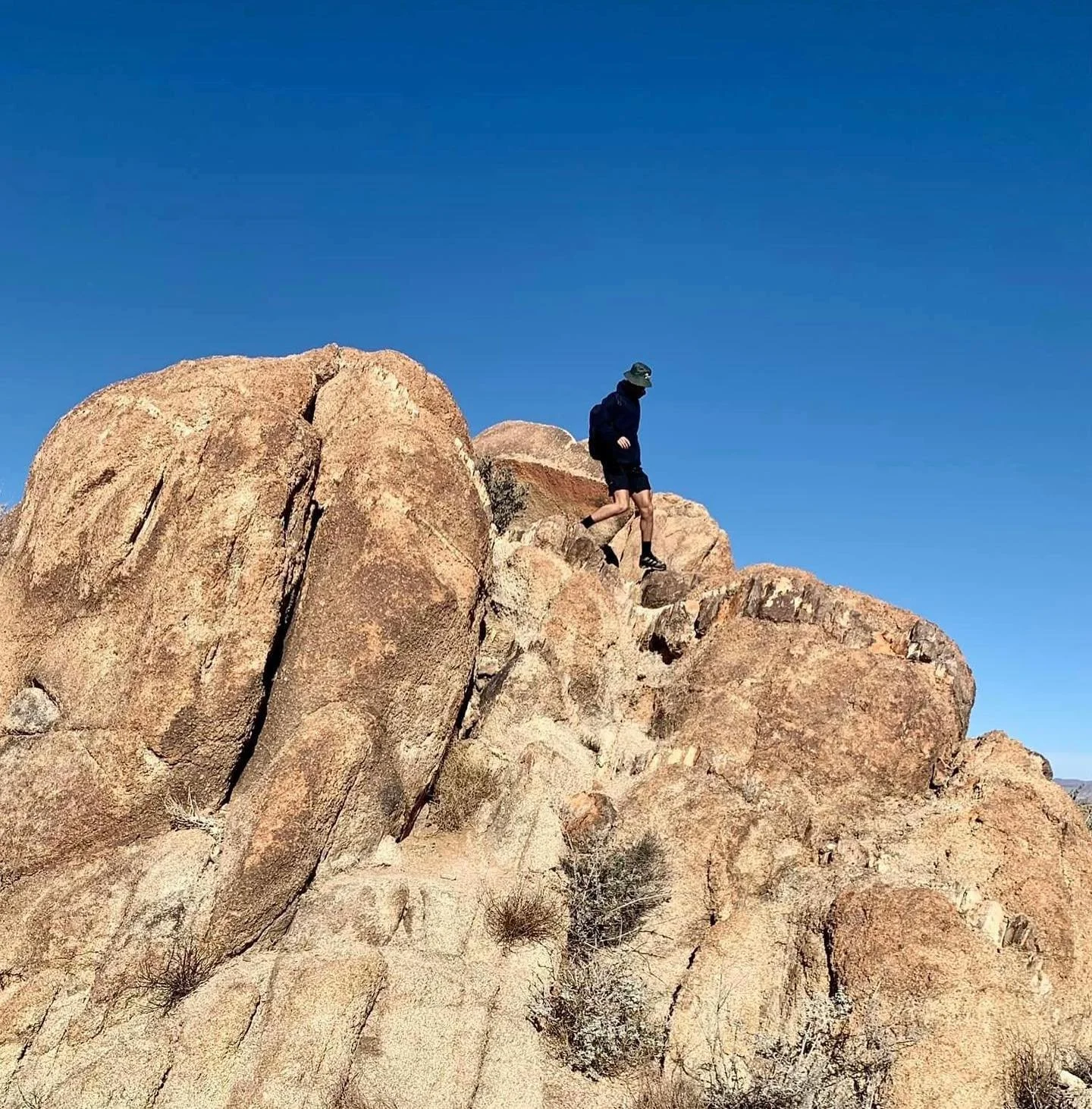 met joshua&rsquo;s trees, joshua no where to be found tho