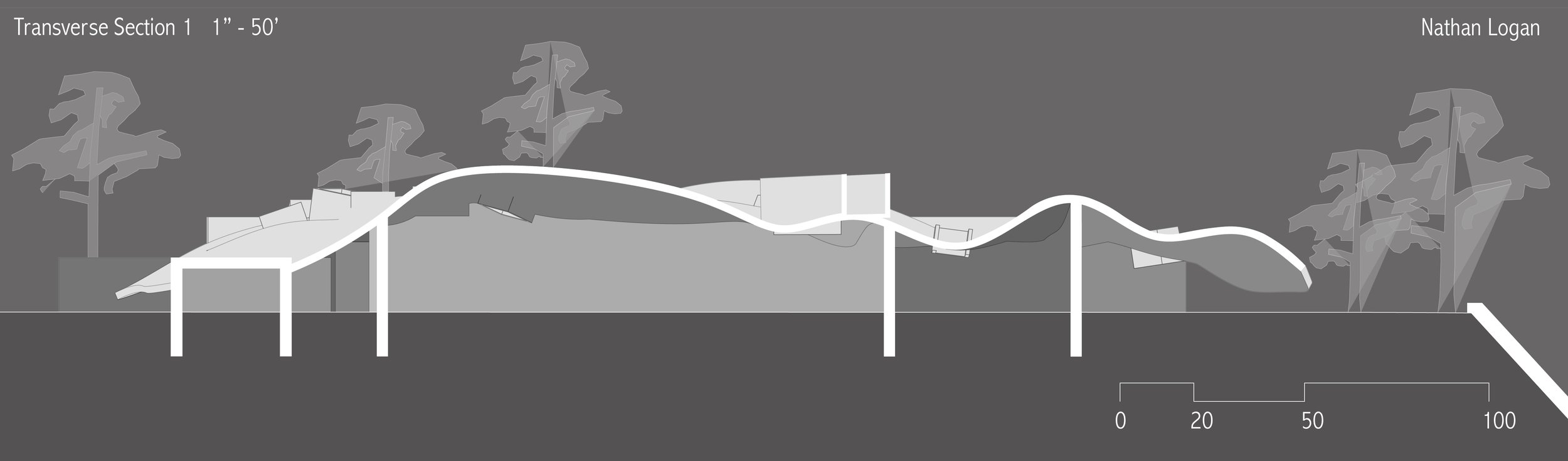 SECTION TRANSVERSE2 print1-01.jpg