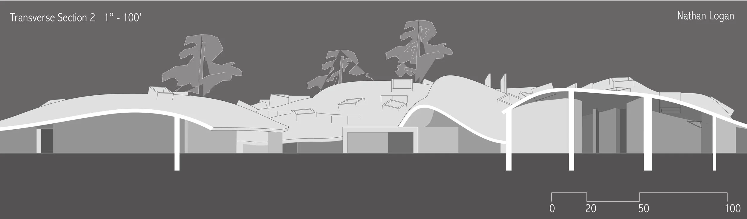 SECTION TRANSVERSE1 print1-01.jpg