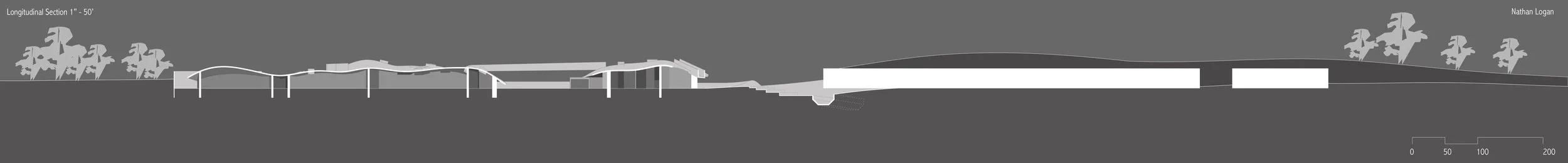 SECTION LONGITUDE print1-01.jpg