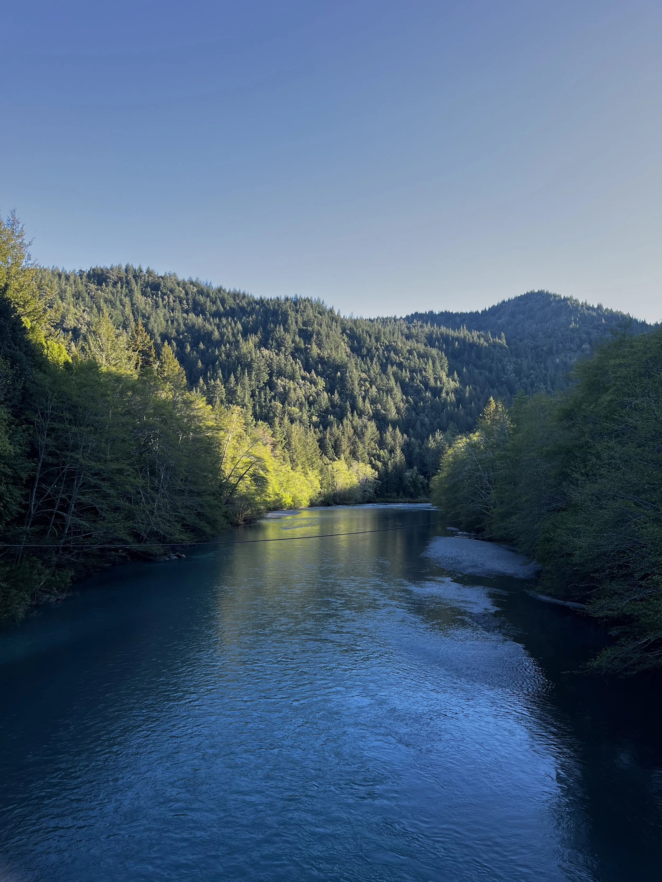 A river flowing through a lush forested valley with green mountains under a clear blue sky.