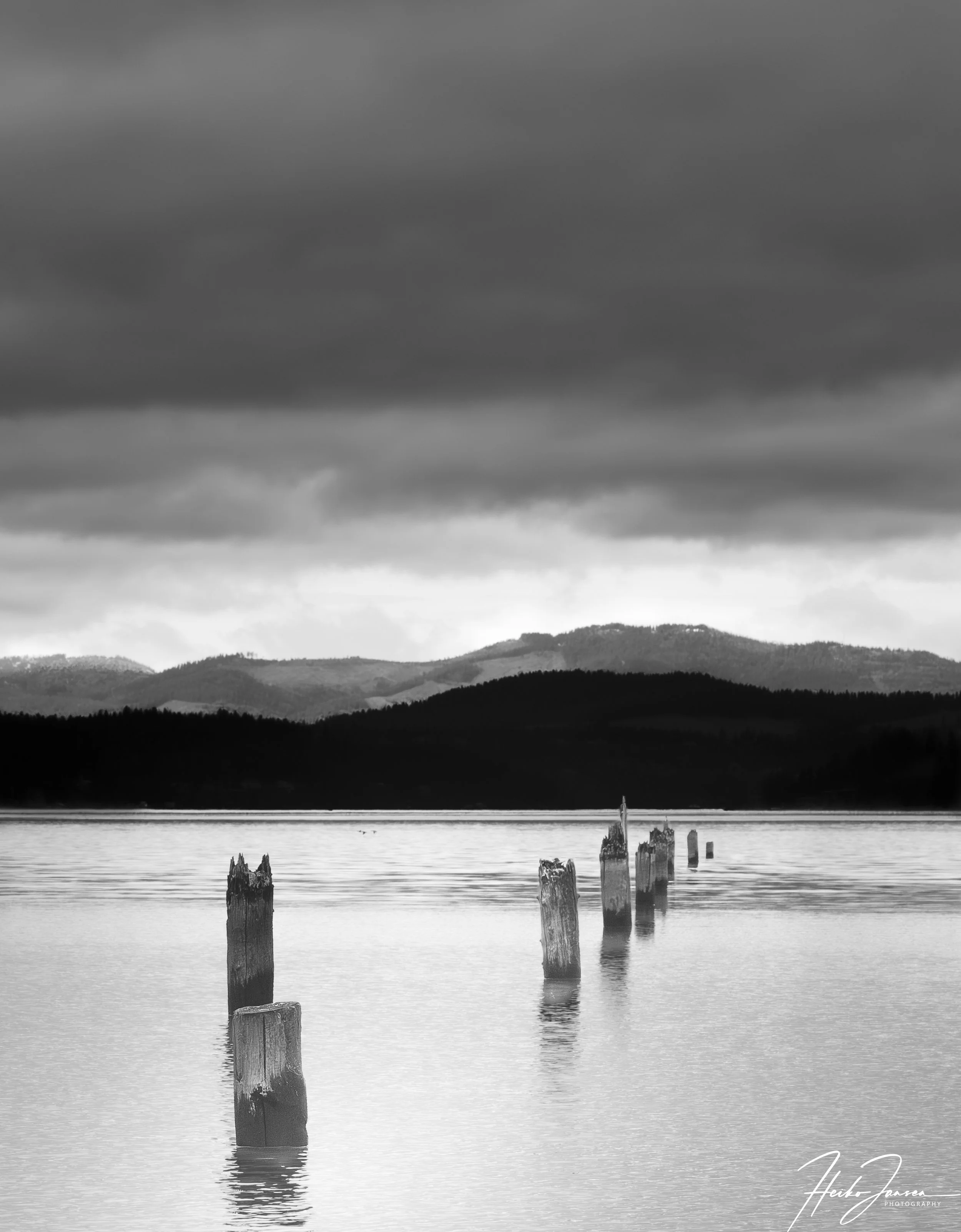 Leading lines.

Nikon Z6iii, Nikon 70-200mm, f2.8E FL VR; 92mm, 1/2500 sec, f10, ISO 3200, 0.33 EV.