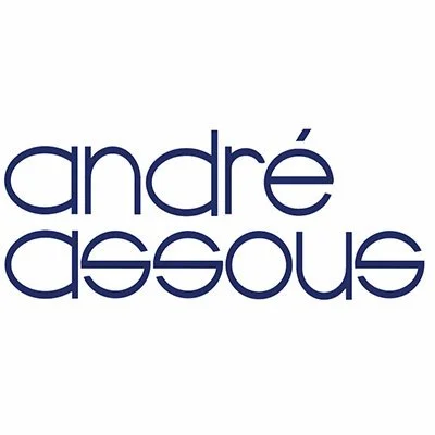 Logo with the name 'andré assous' in lowercase navy blue font on a white background.