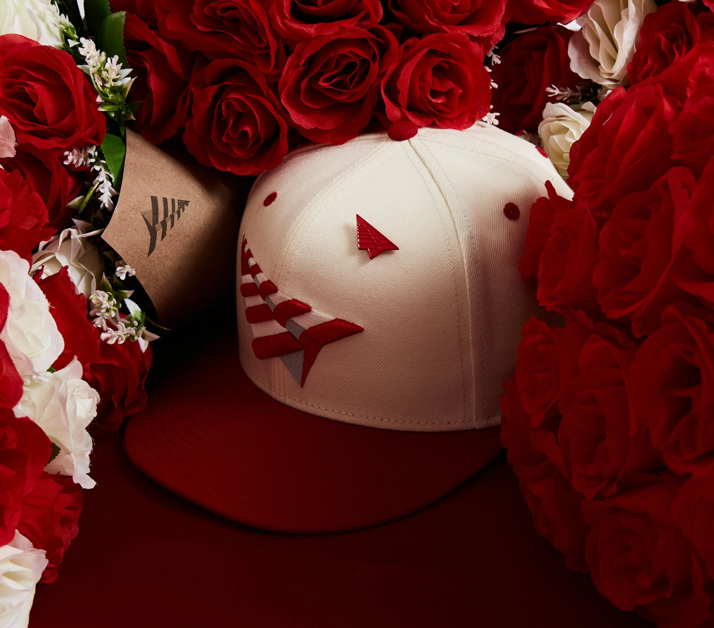 Paper planes-valentines day