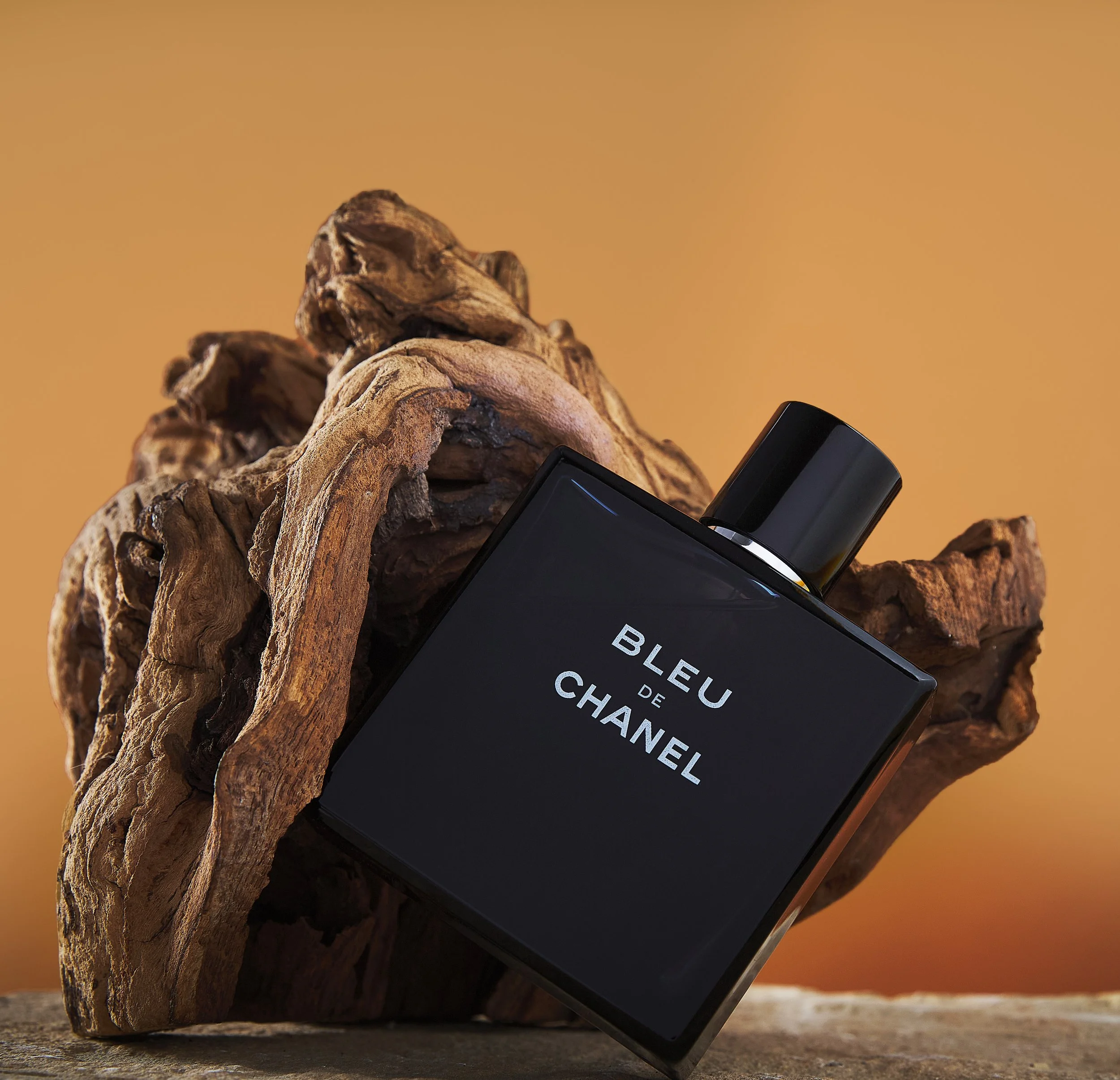 20250515_COLOGN0880 copy.jpg