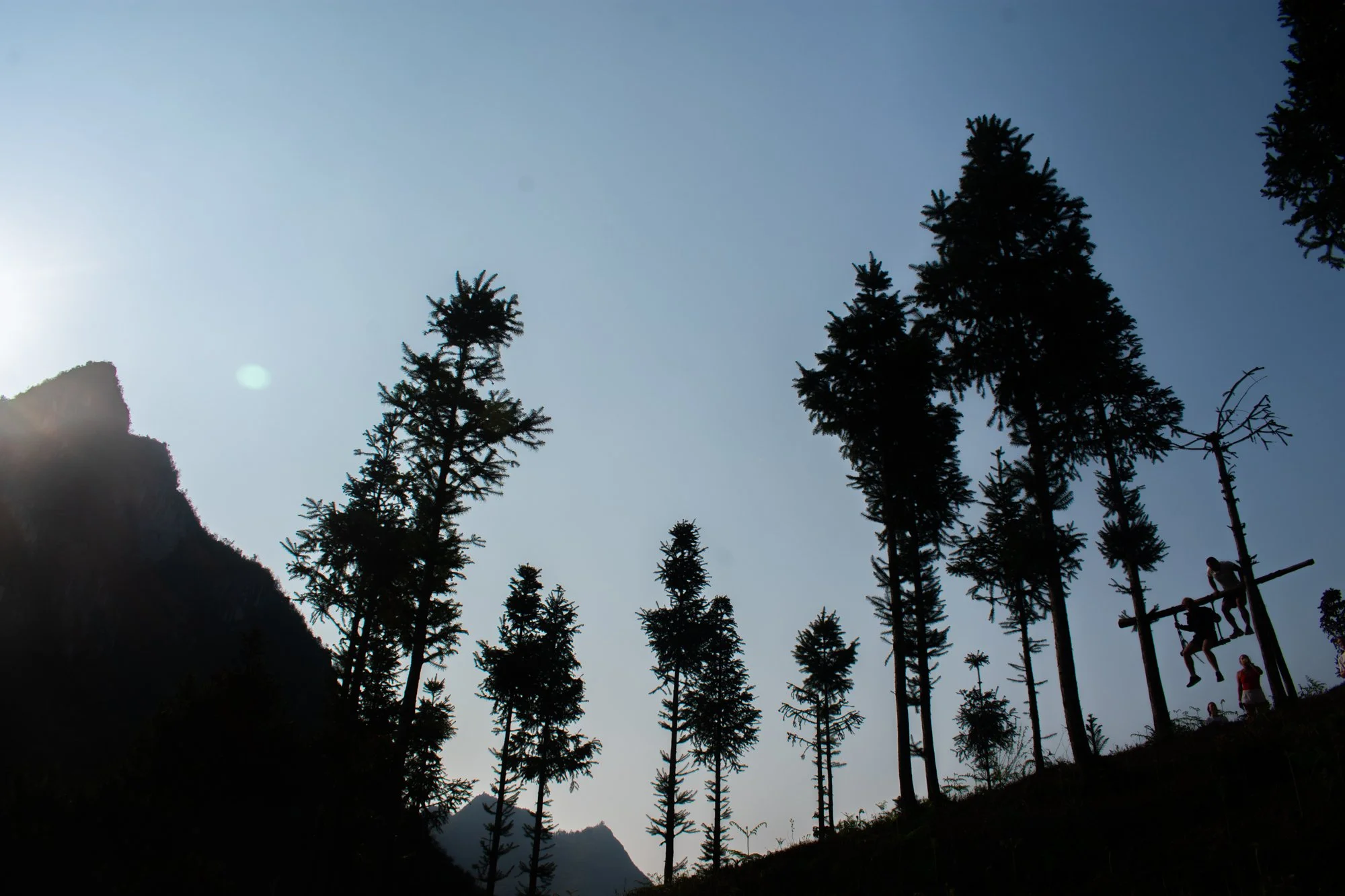 portfolio-234.jpg
