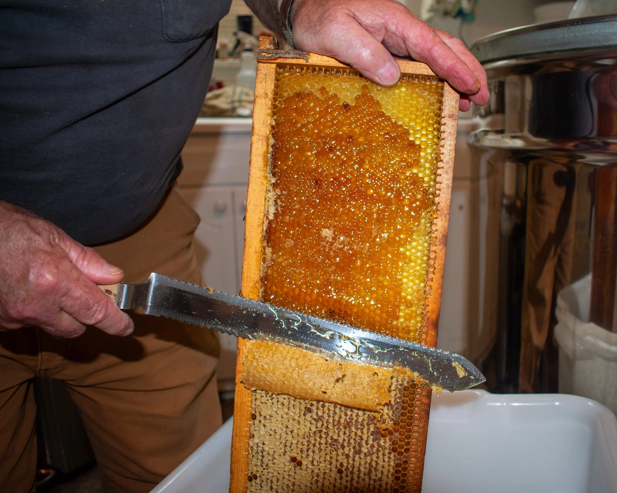 Crump decaps honey from his frames before extracting it. Extraction is the process of separating honey from beeswax combs to harvest it for use. Once the frames are full of honey, the bees preserve it by capping it in wax cells. To extract the honey,