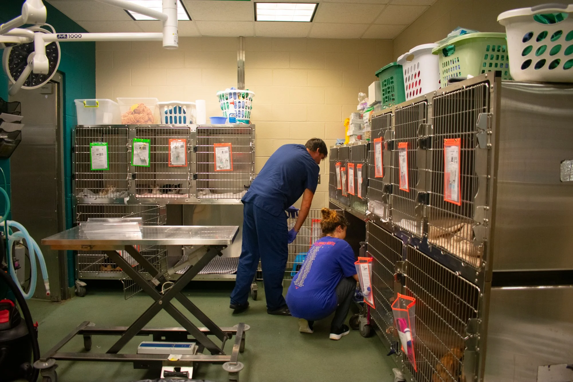 Veterinary assistants Selig and Denya grab the next dog to sedate and prepare for neutering. Cats are kept on the top rows, while dogs are on the bottom. All of the animals are adopted and need to be spayed or undergo surgery before going home, which