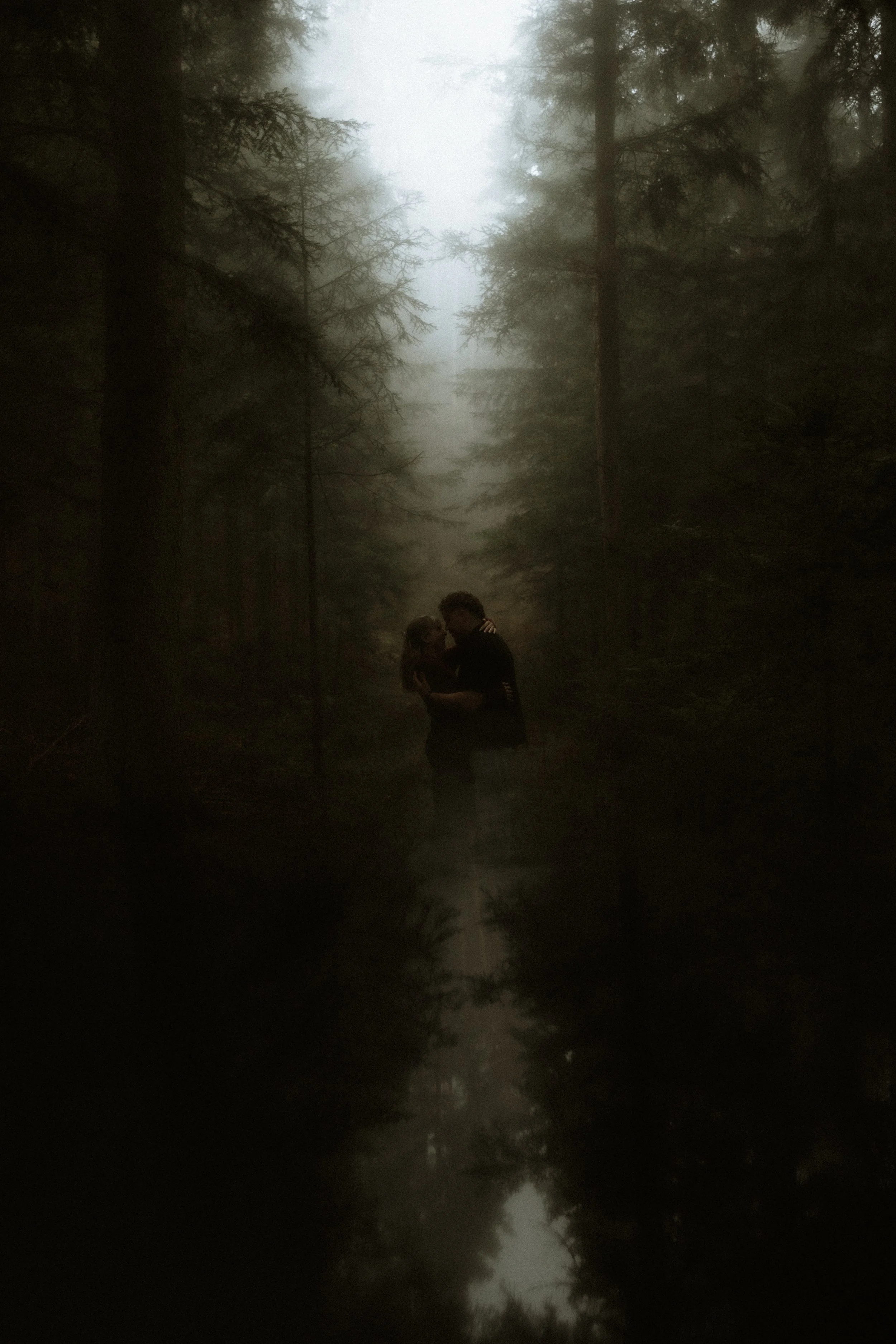 A couple embracing in a dark, foggy forest with tall trees and a misty atmosphere.
