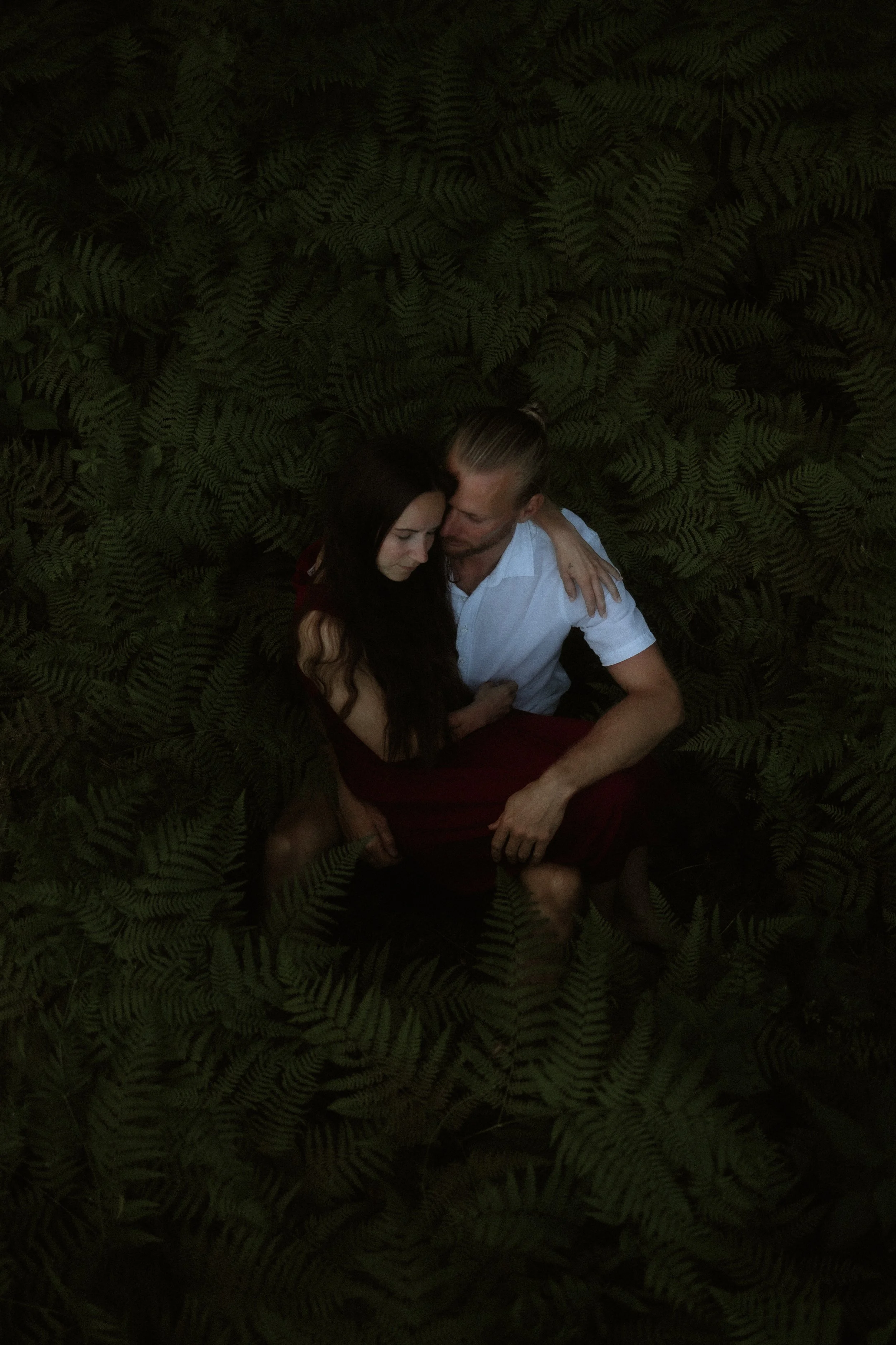 A man and a woman sitting closely together amidst lush green fern foliage, with the woman resting her head on the man's shoulder and both appearing contemplative or tender.