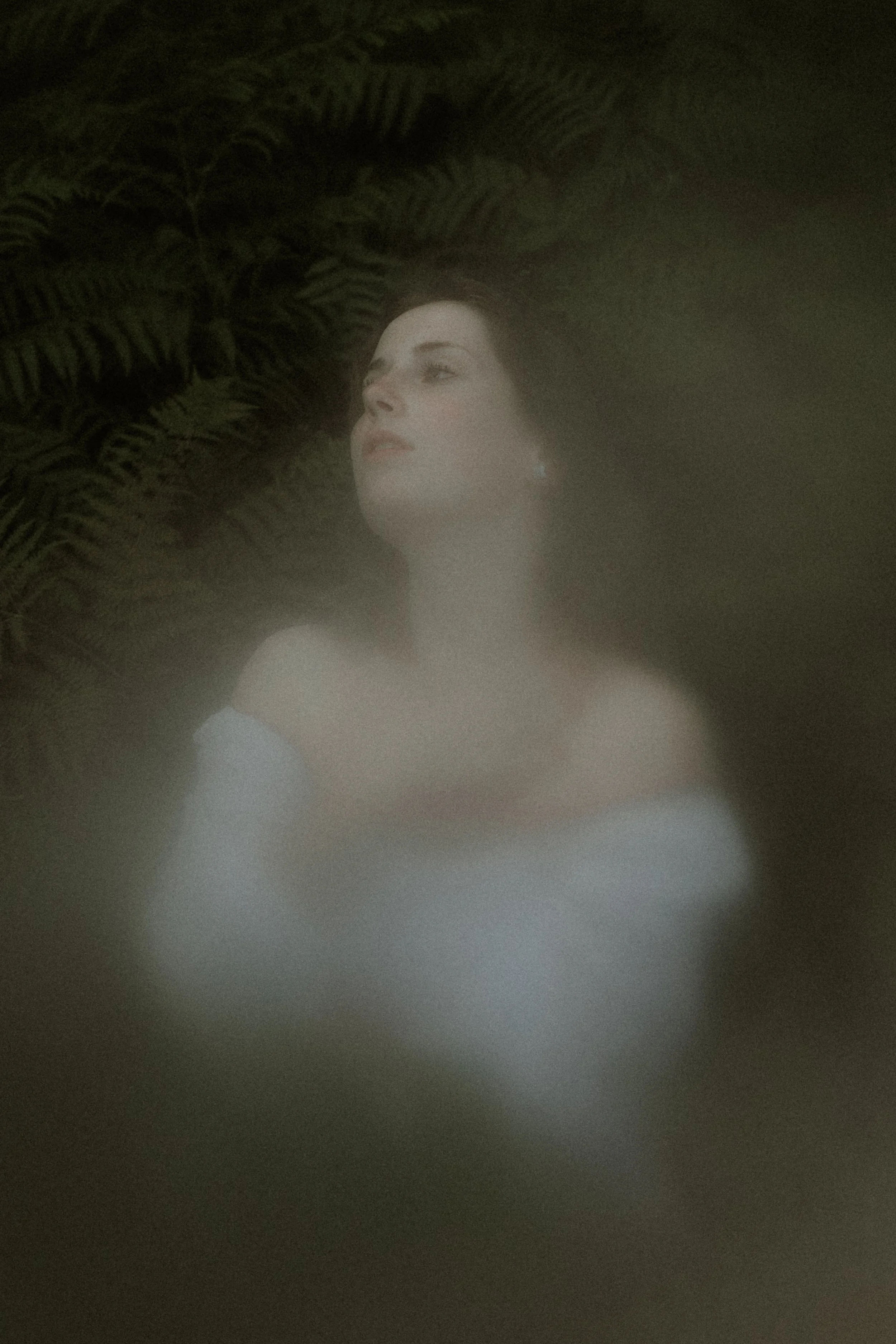 A woman with dark hair lying among green fern leaves, with a soft, hazy focus.